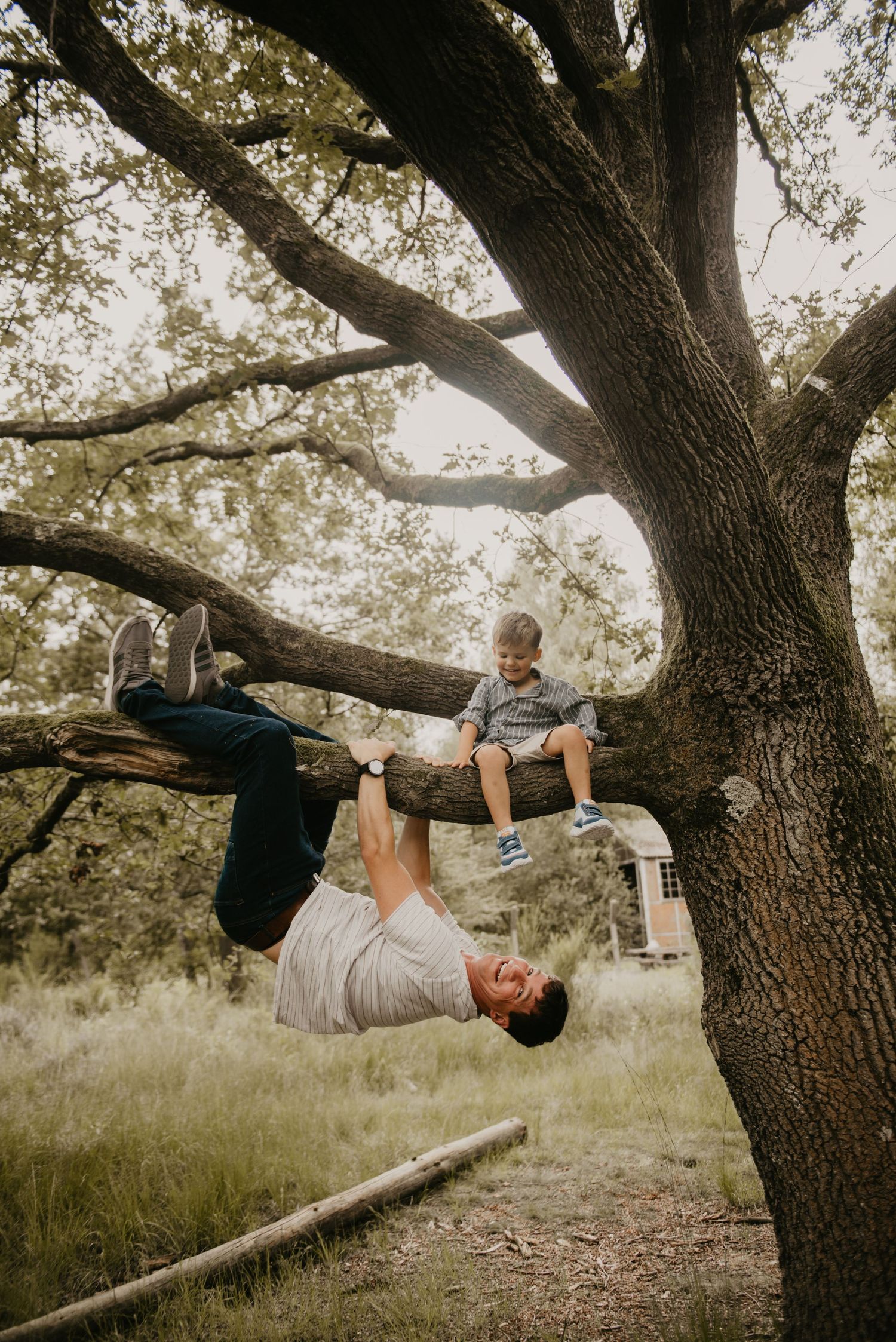 People playfully hang and pose on a large tree branch in a natural setting.