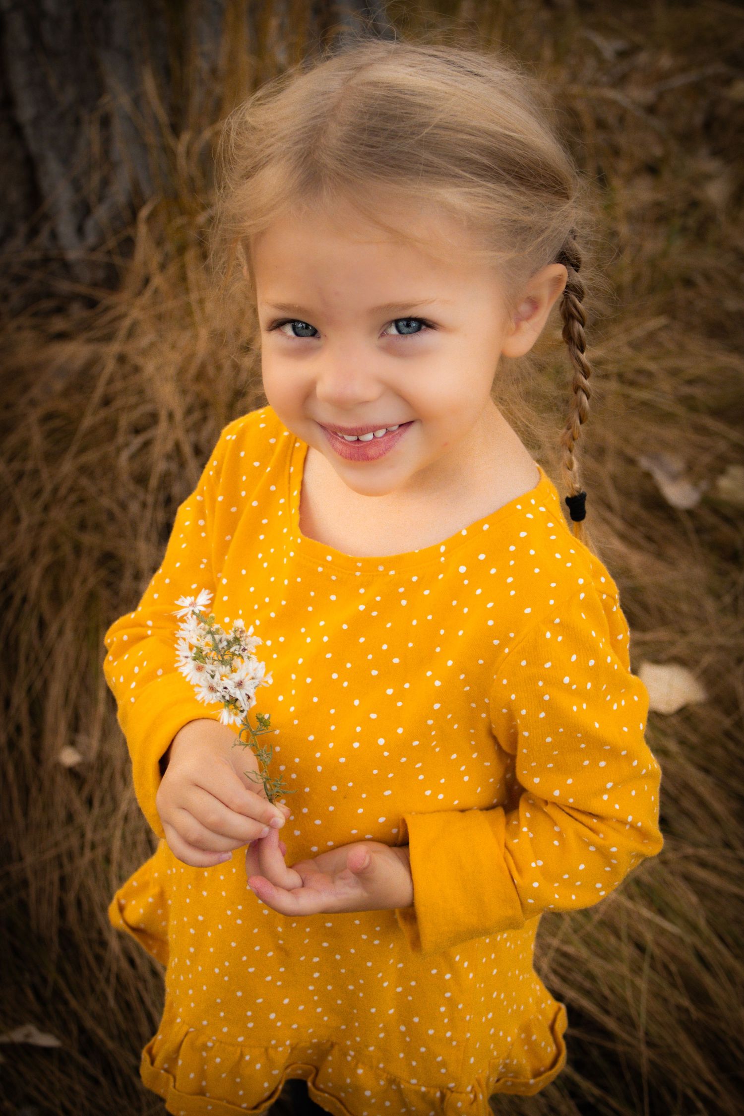 A series of photos showing a child in a bright yellow polka dot dress holding a small flower in a natural outdoor setting.