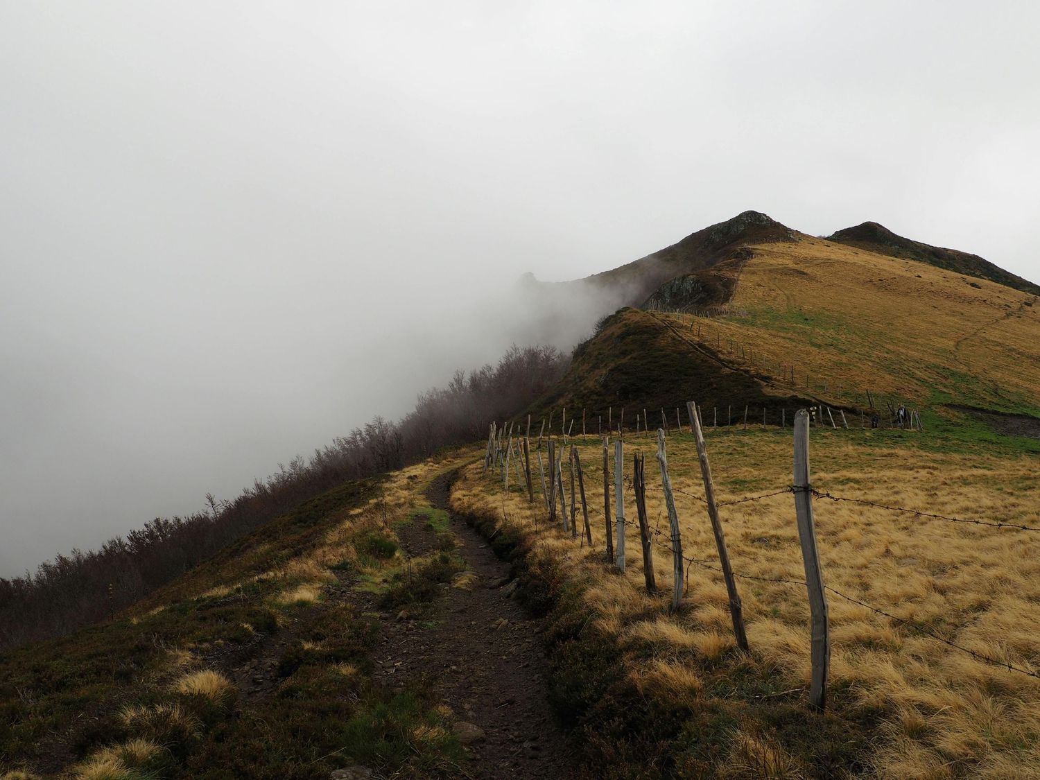 A misty mountain trail with wooden fence posts along a grassy ridge.