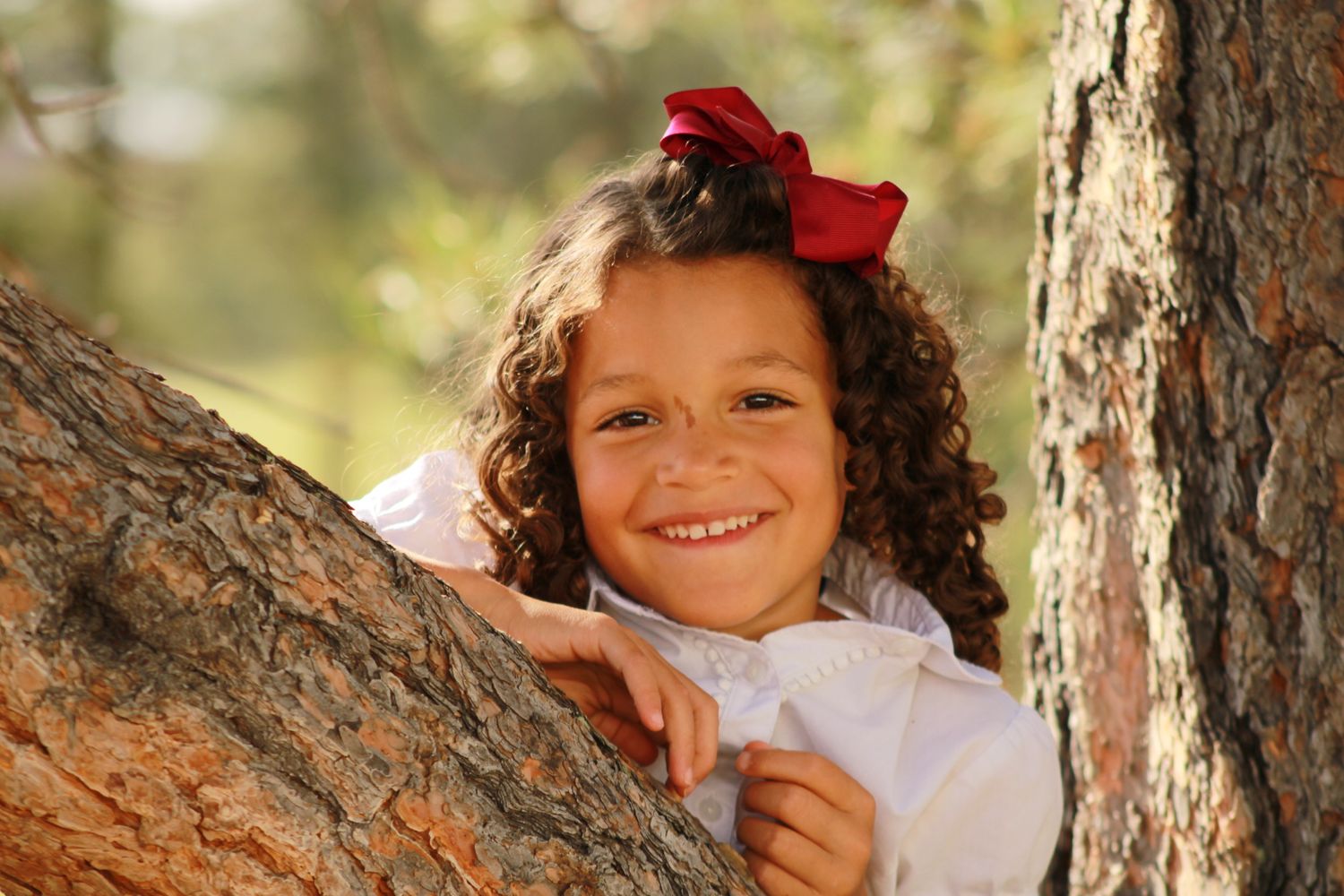 Outdoor portraits among pine trees with natural lighting and red hair accessory.