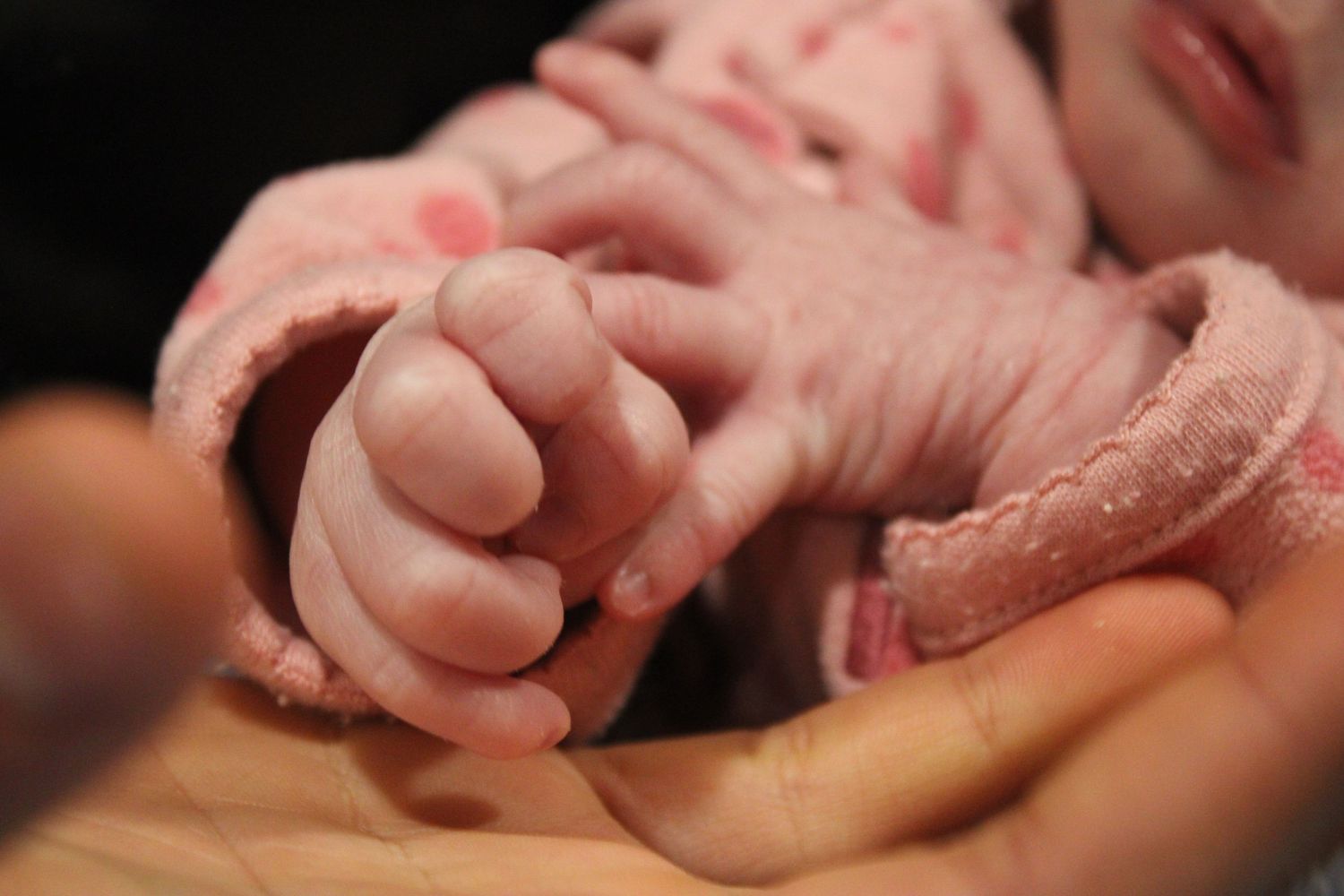 Close-up of a tiny baby's hand gently resting in someone's palm.