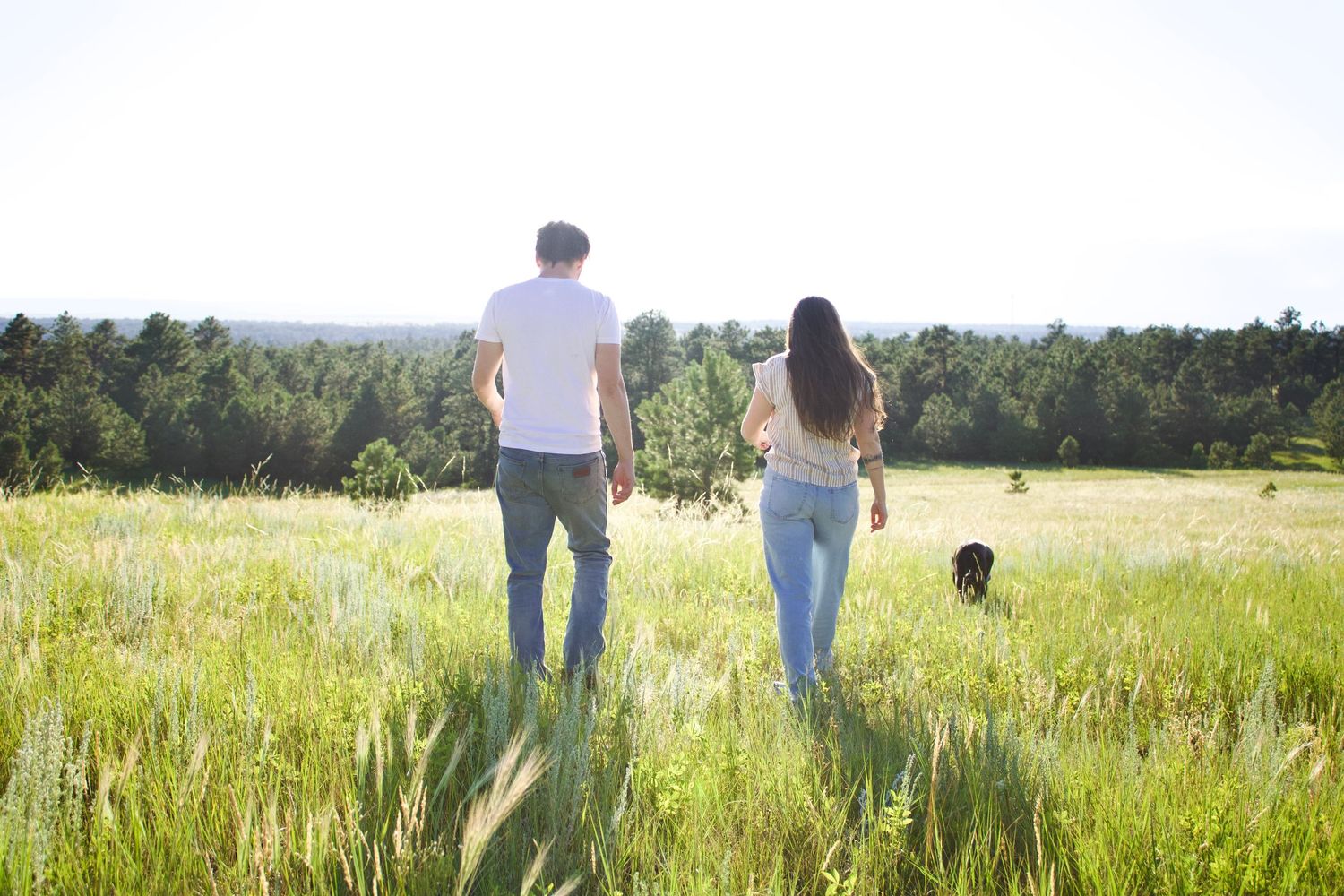 A couple strolls through a summer meadow with tall grass and golden sunlight on a peaceful day.