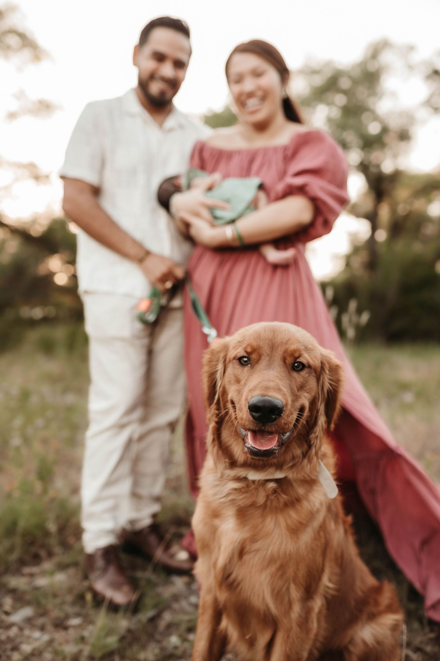 A happy golden retriever dog poses outdoors with people in casual attire visible in the background.