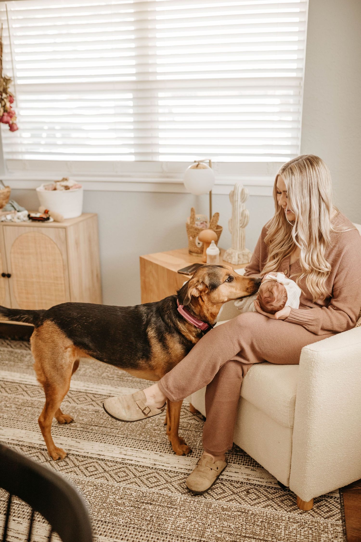 A German Shepherd mix dog interacts with someone sitting in a beige armchair in a cozy living room with natural lighting.