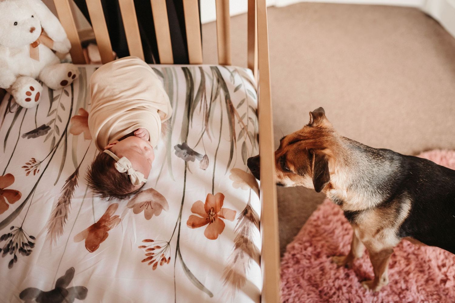A series of cozy lifestyle photos showing someone relaxing at home with a cat and floral decor in warm neutral tones.