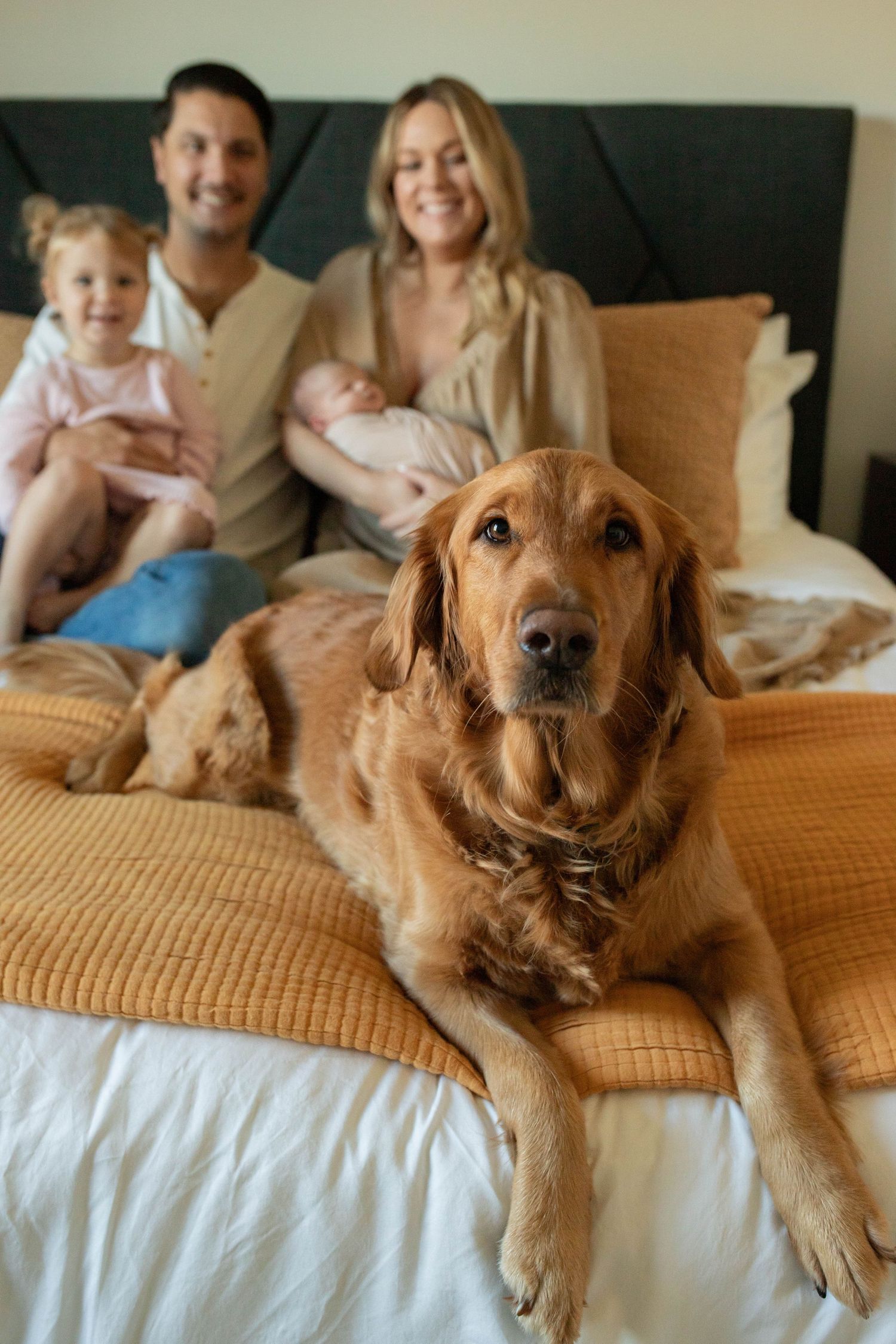 A golden retriever dog lounges on a bed with a family and their young children in a cozy bedroom setting.