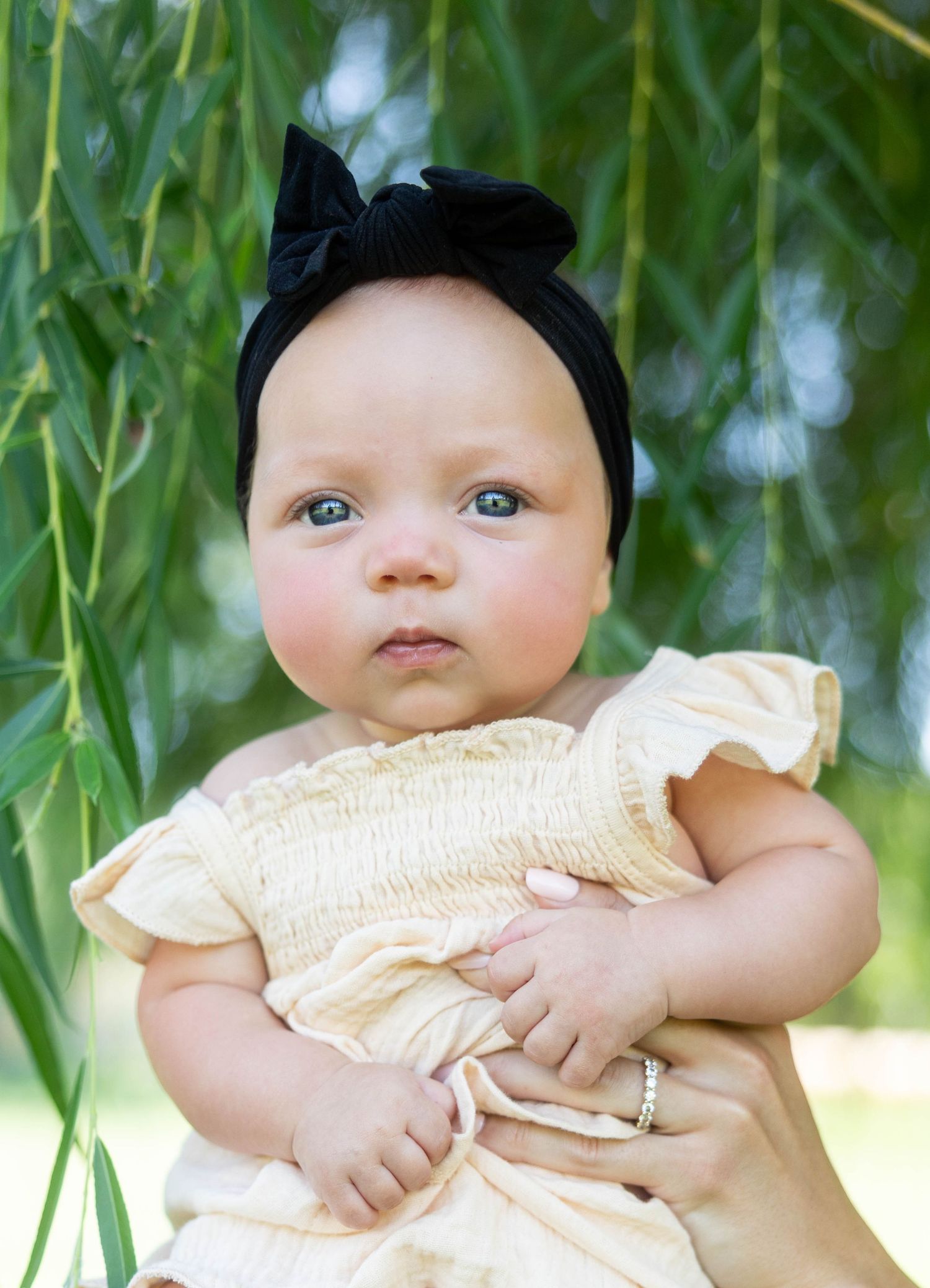 Adorable baby girl wearing a cream smocked dress and black bow headband, held outdoors near green willow tree leaves.