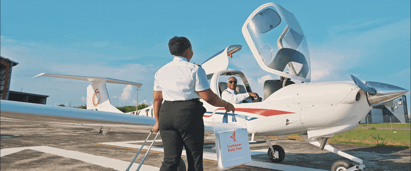 Aircraft technician inspects a small private aircraft on a sunny day at an airfield.