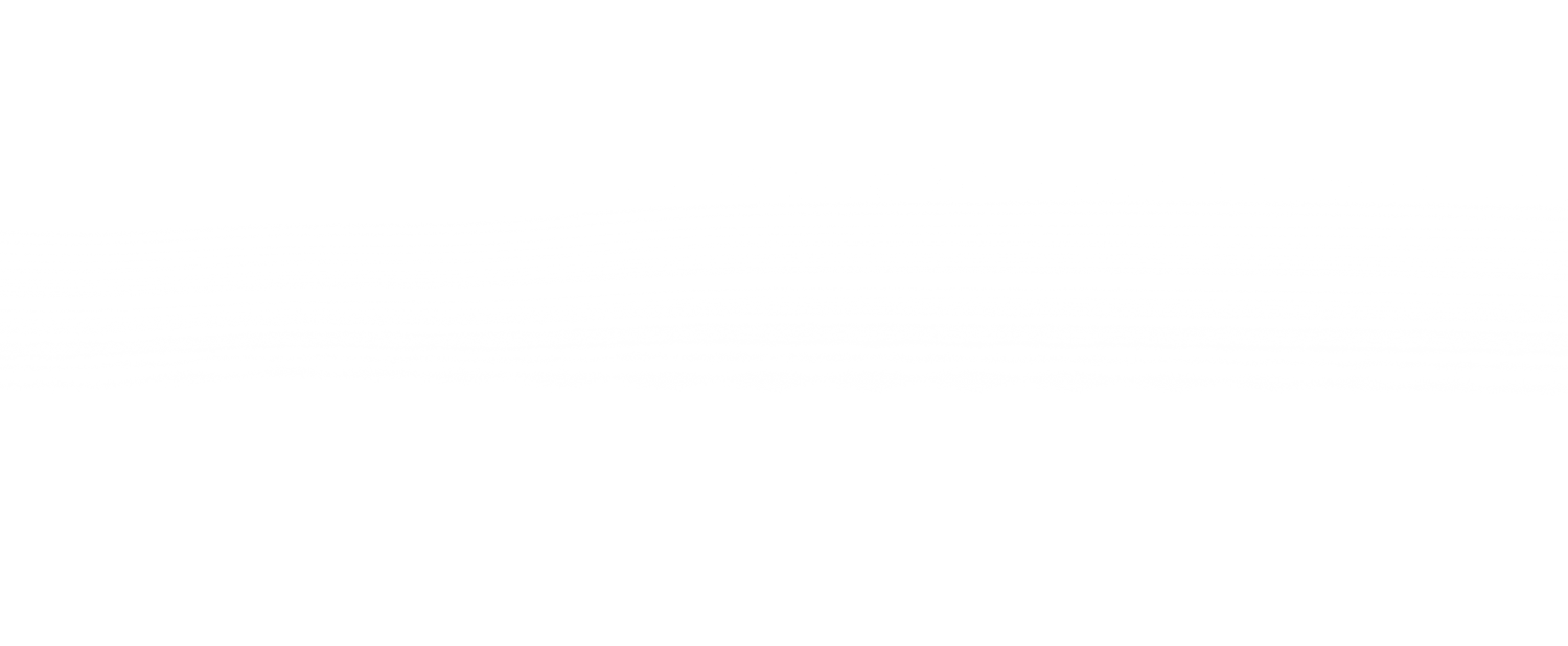 White horizontal divider line on transparent background.