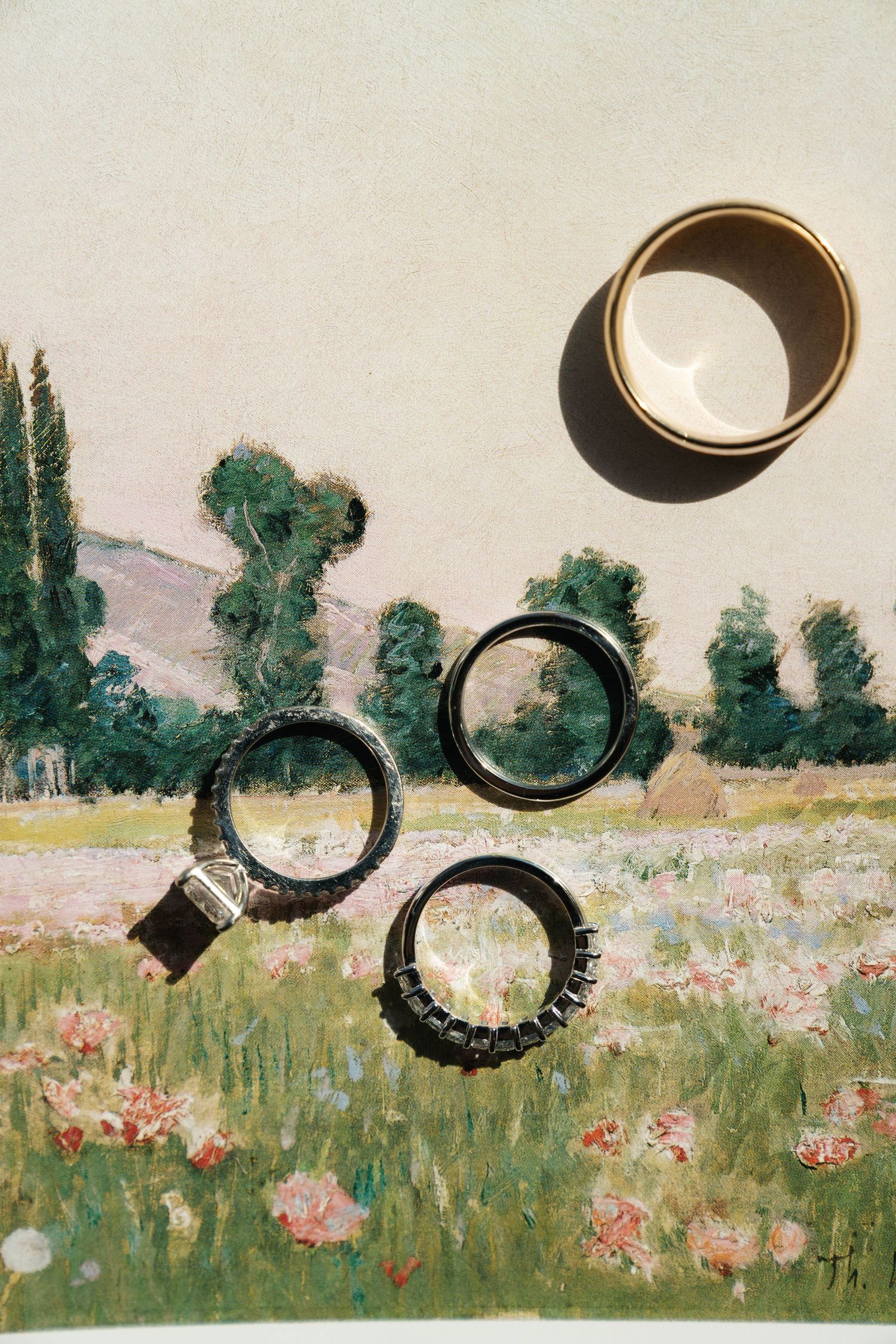 Editorial detail shot of wedding rings on art