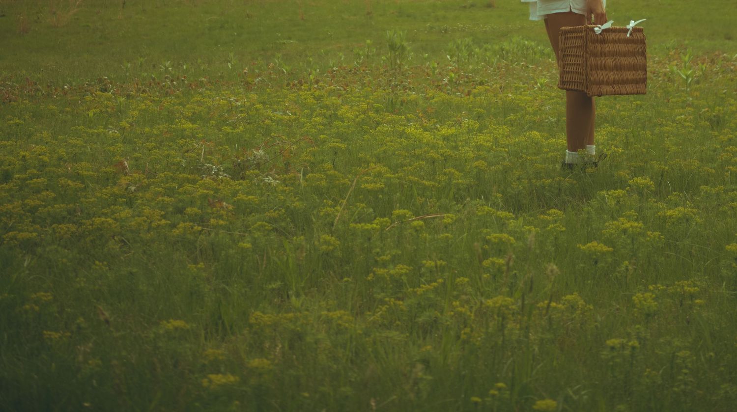 A wooden directional sign stands in a green meadow filled with blooming yellow dandelions.