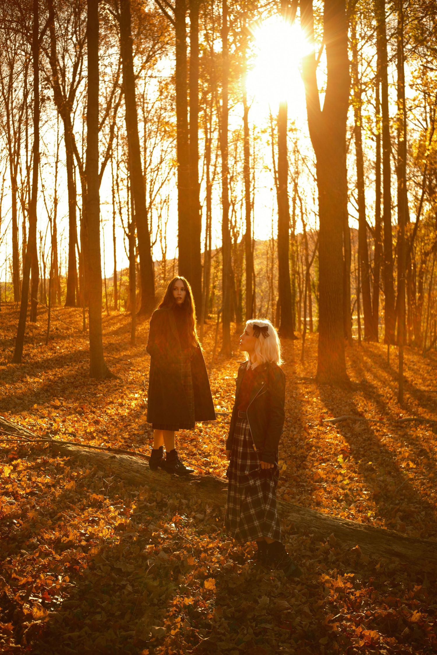 Two figures silhouetted in autumn forest with golden sunlight streaming through trees.