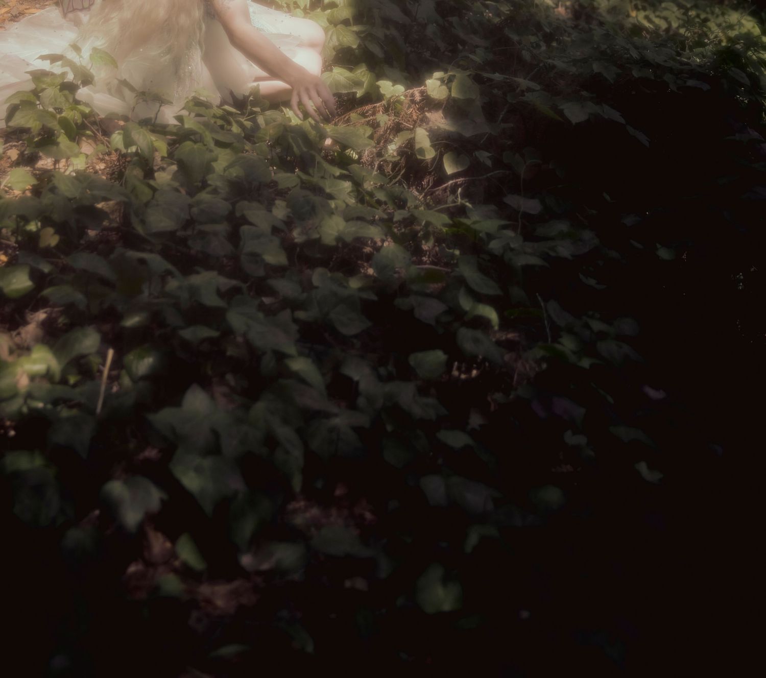 A dreamy close-up view of green ivy leaves and foliage in soft focus.