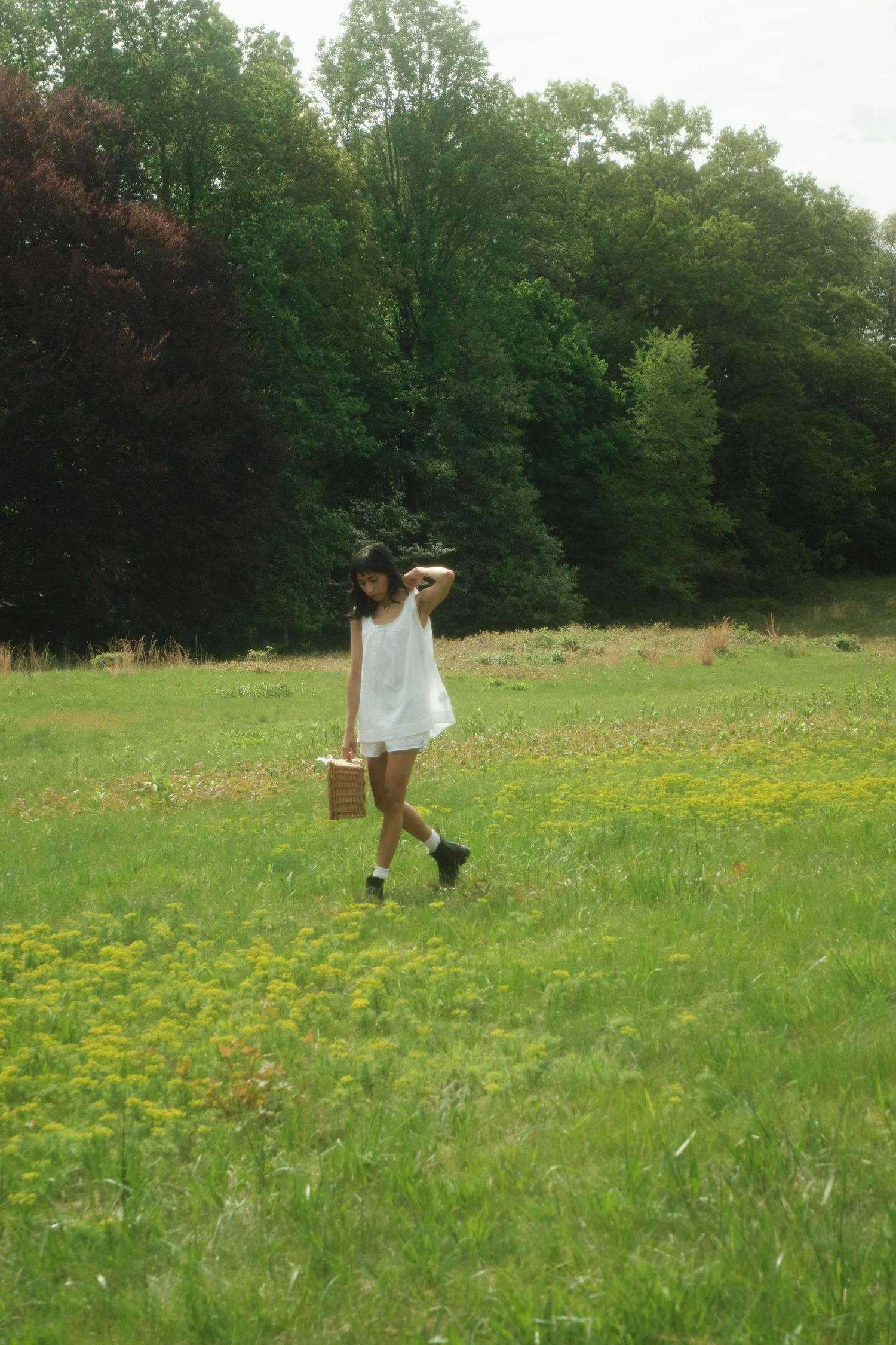 A figure in a white dress walks through a sunny meadow filled with yellow wildflowers and bordered by green trees.