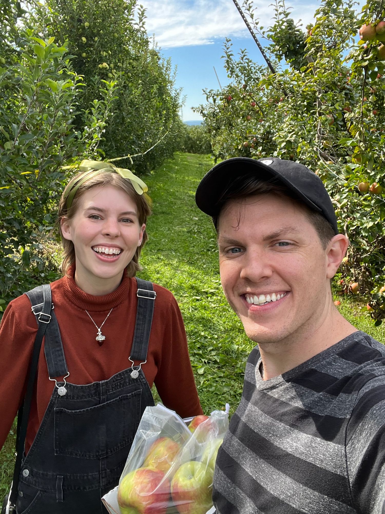 Couple taking selfie while apple picking in sunny orchard.