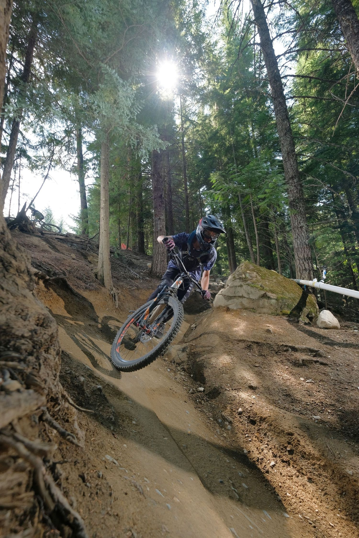Mountain biker rides down steep dirt trail through sunlit forest of tall evergreen trees.