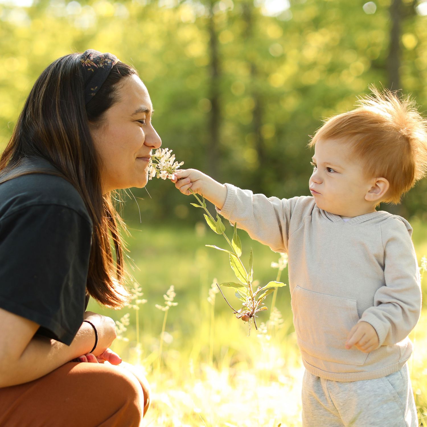 Golden sunlit scene in a park with wildflowers and gentle interactions on a summer evening.