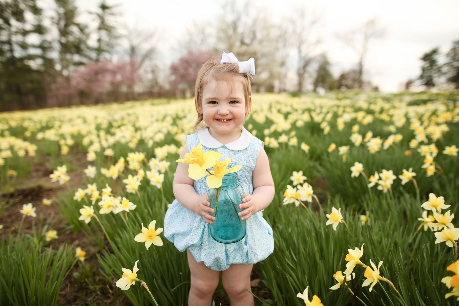 Child in blue dress holding turquoise vase surrounded by blooming daffodils.