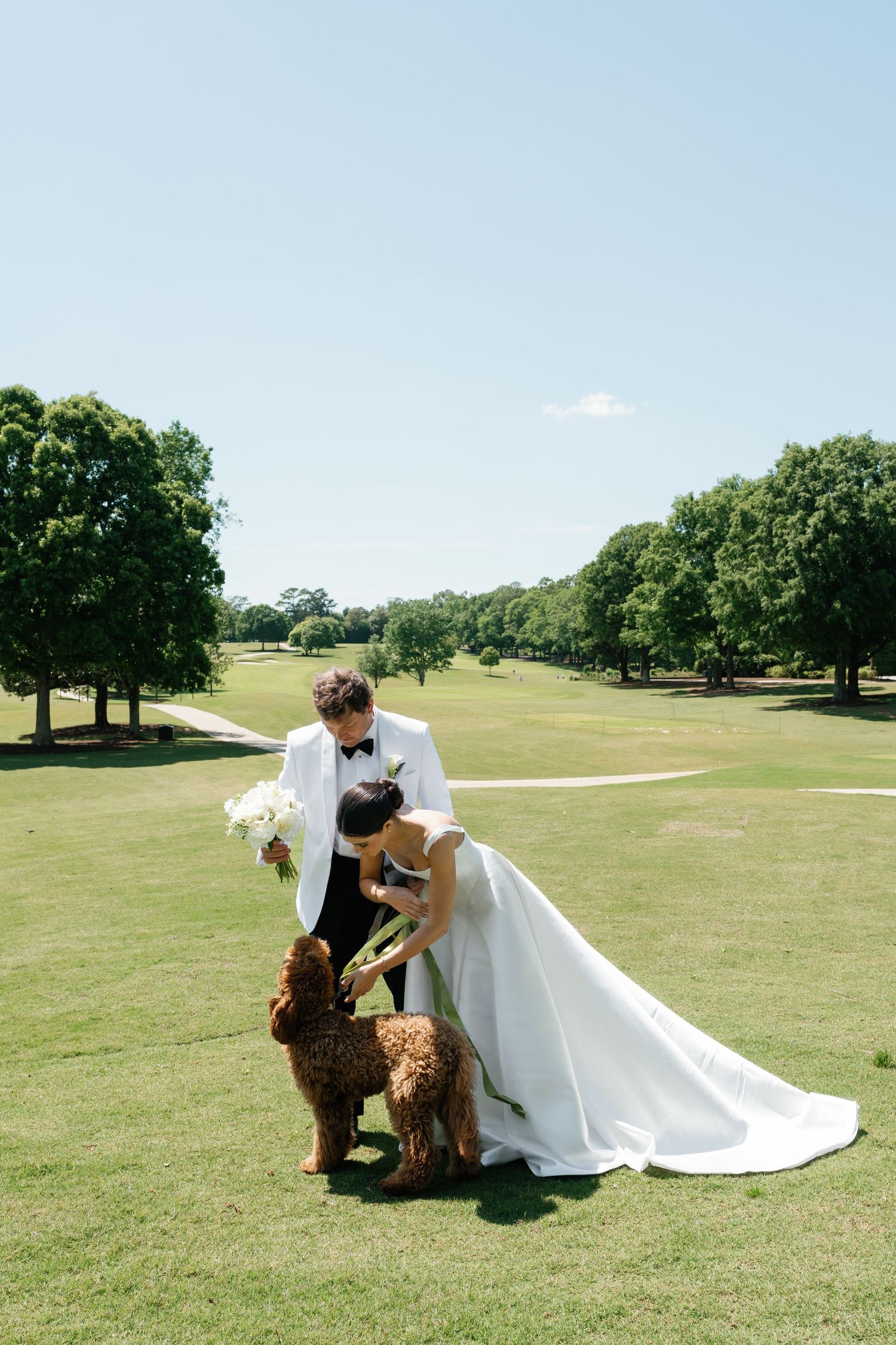 Bride and groom in white wedding attire petting two brown poodles on a lush green golf course on a sunny day.