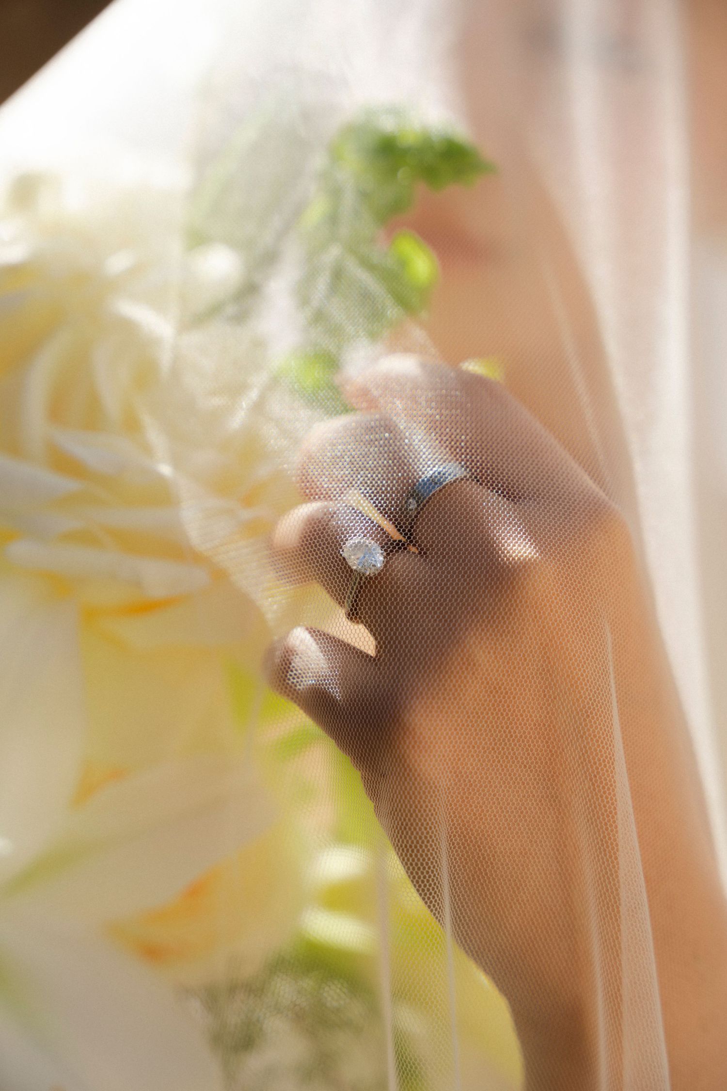 Close-up view of a delicate white flower with soft petals and blurred background creating a dreamy effect.