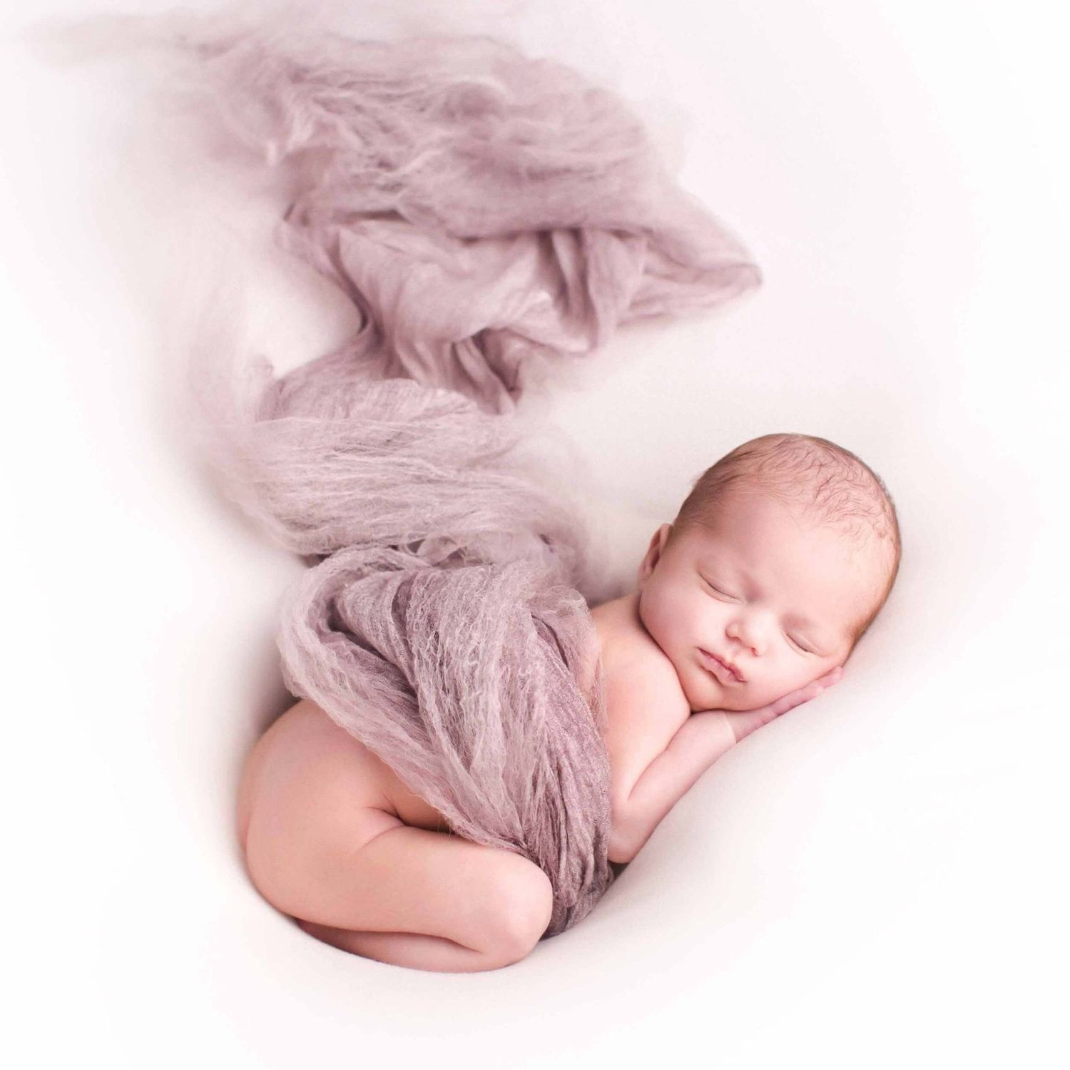 Peaceful newborn baby sleeping wrapped in soft lavender gauze fabric on white background.