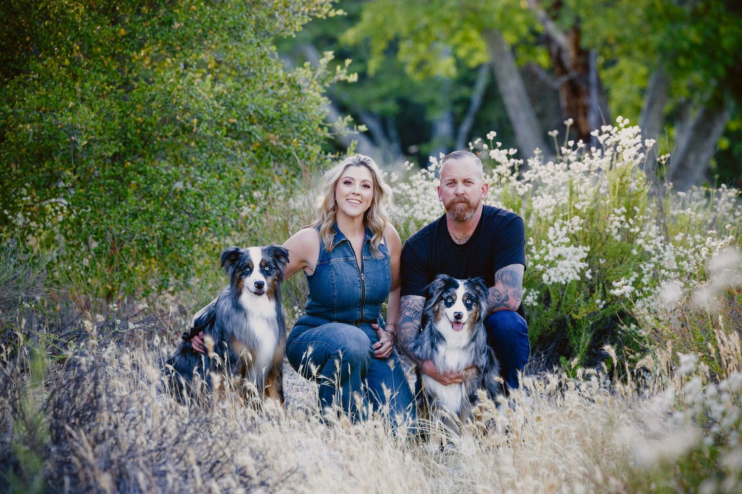 Couple sitting outdoors in a field with two Australian Shepherd dogs, surrounded by wildflowers and lush greenery.