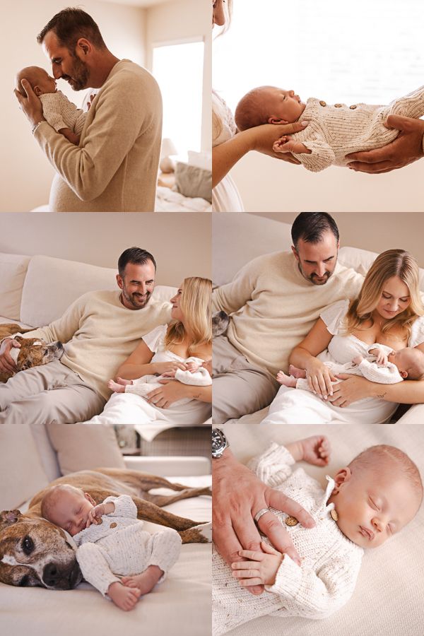 Newborn family photo collage showing parents cuddling their sleeping baby on a cozy couch with a brindle dog in soft natural light.