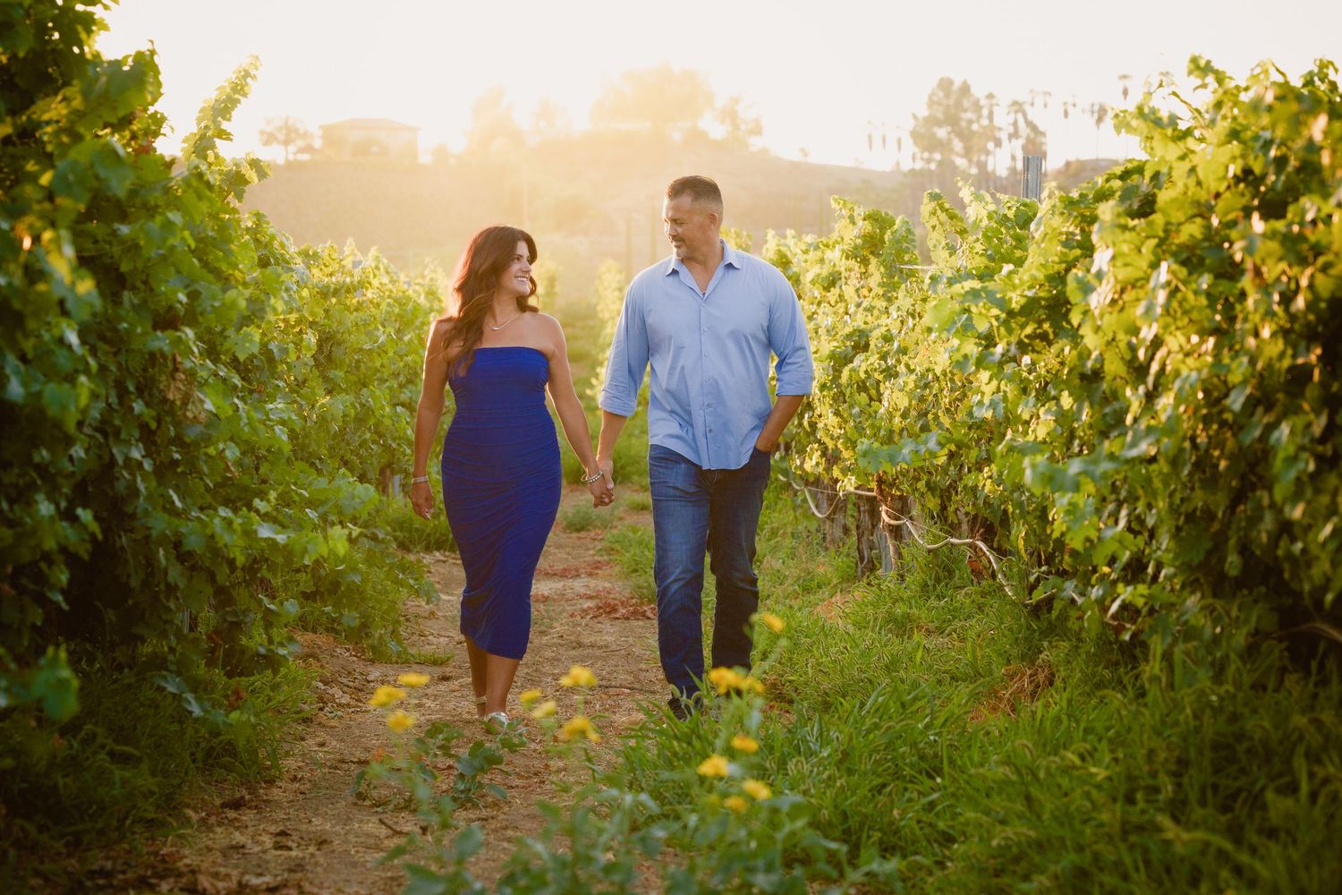 A couple walks hand in hand through a sunlit vineyard at golden hour with grapevines on both sides of the path.