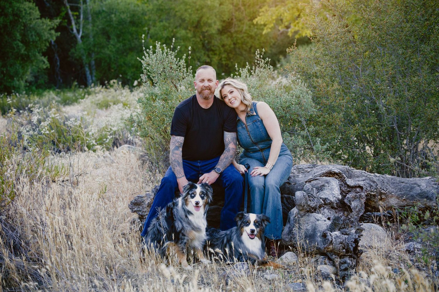A couple sits on a log with two Australian Shepherds in a lush outdoor setting with golden sunlight.