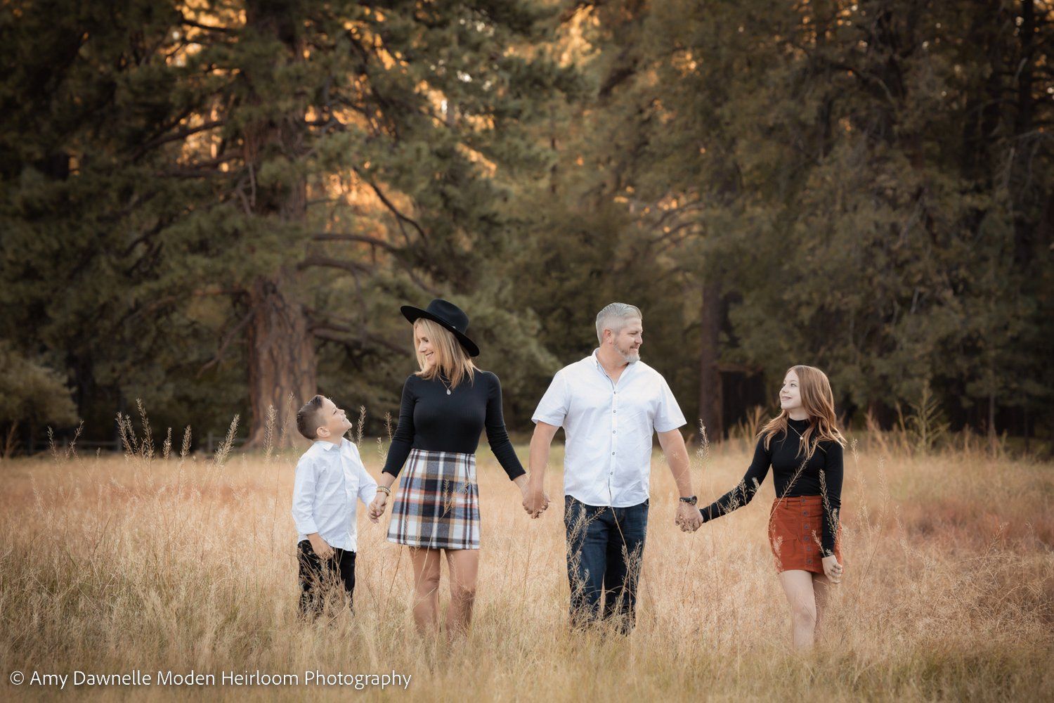 A family of four holds hands while standing in golden grass with pine trees behind them.