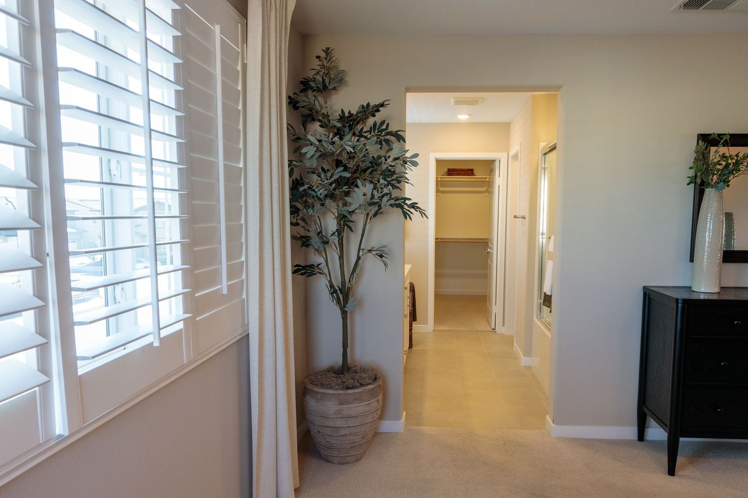 White plantation shutters line the walls of a bright modern hallway with hardwood floors and potted plants.