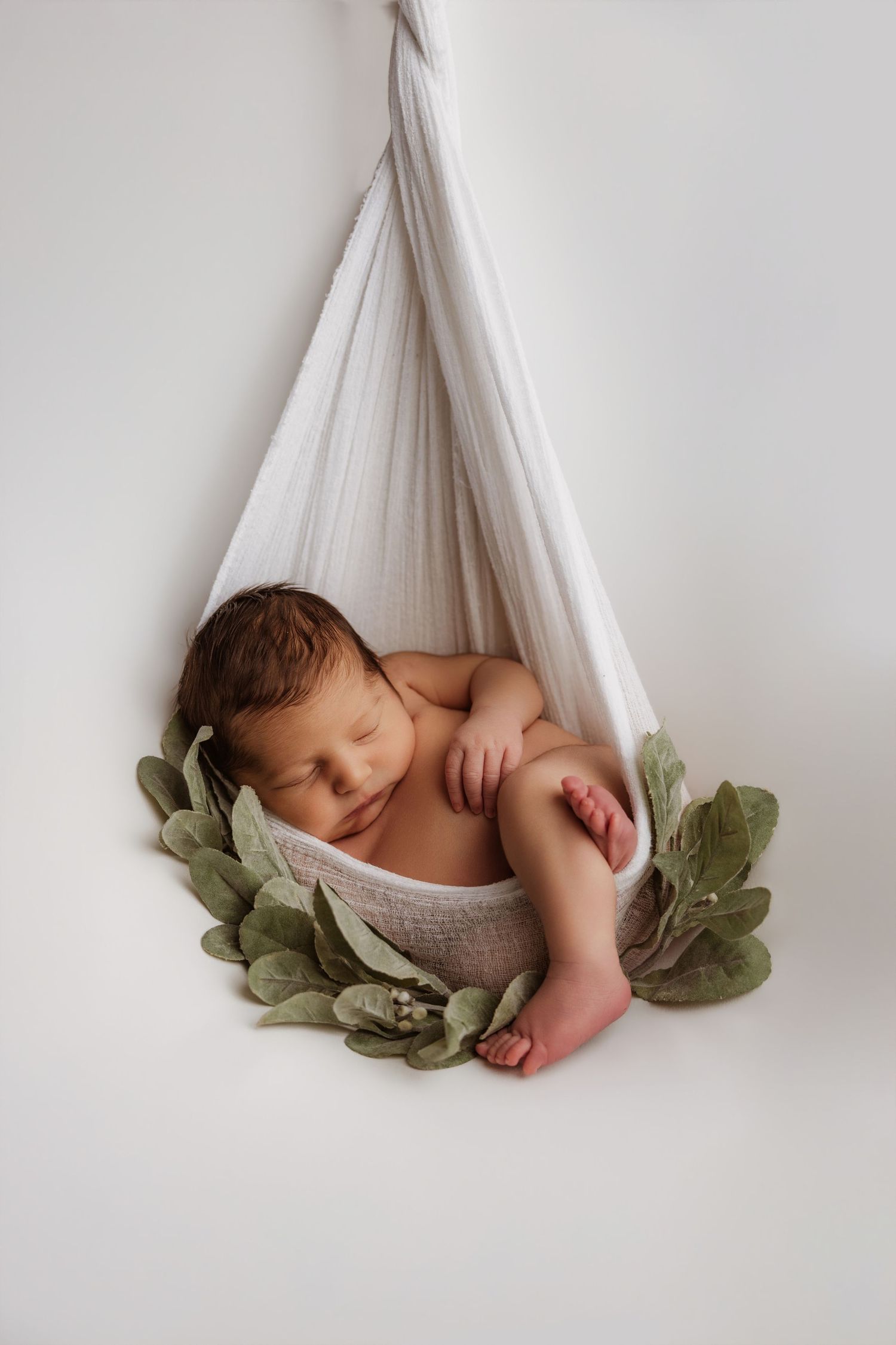 Newborn baby sleeping peacefully in a hanging fabric hammock surrounded by green leaves on white background.