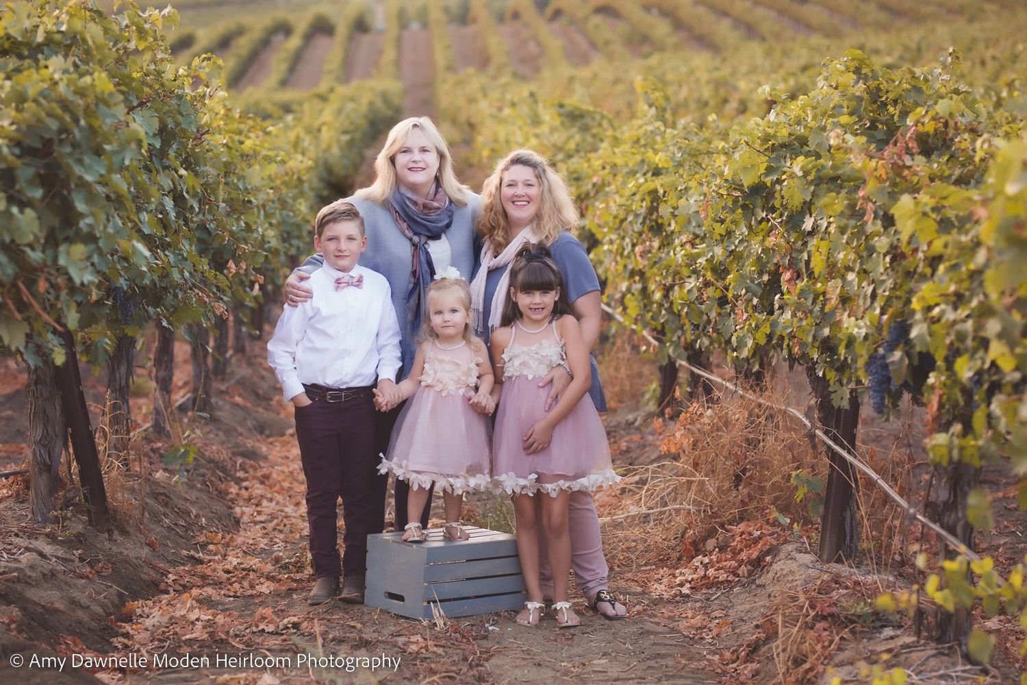 Family group poses together in a scenic autumn vineyard with rows of grapevines in the background.