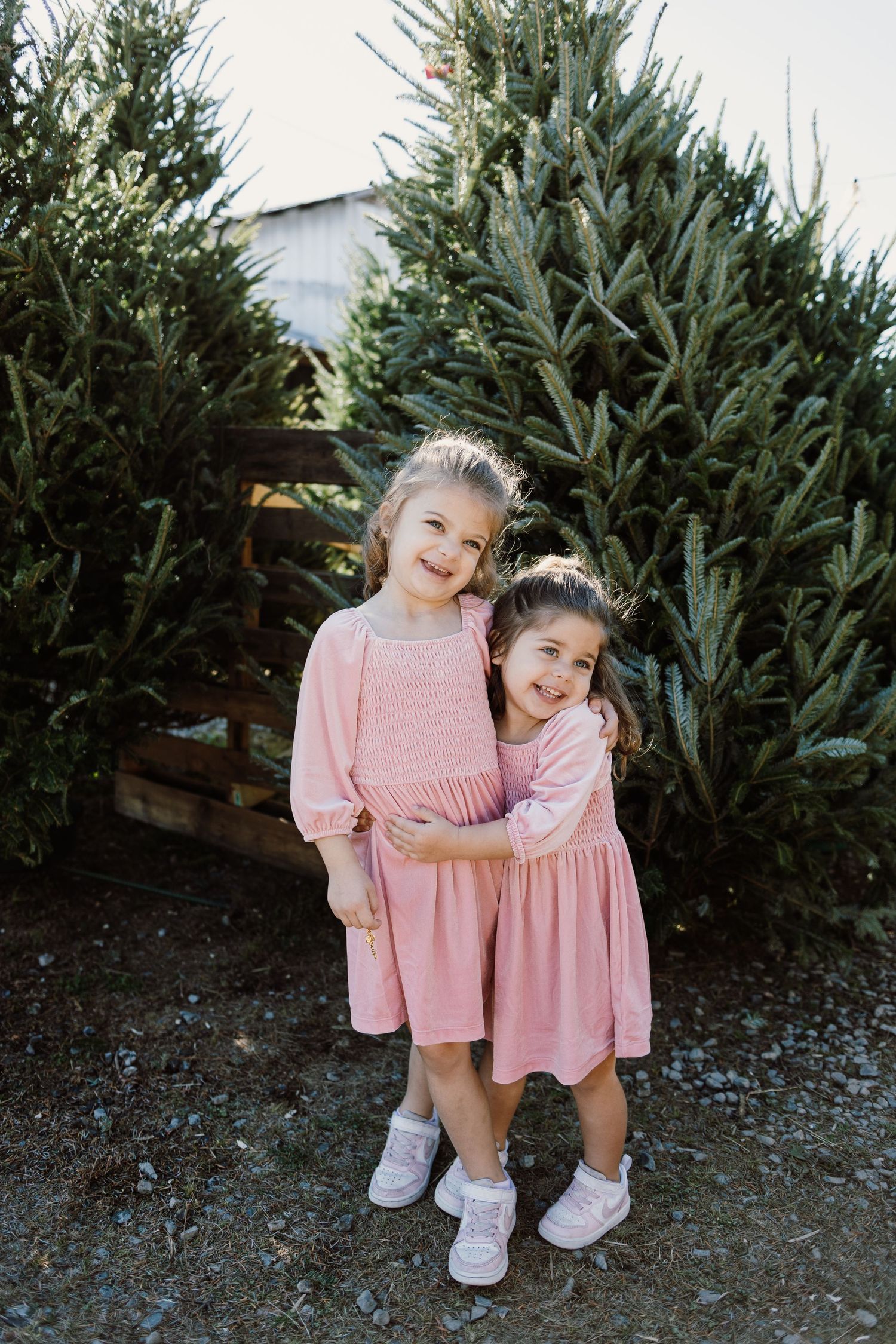 Two sisters in pink dresses posing together near Christmas trees outdoors.