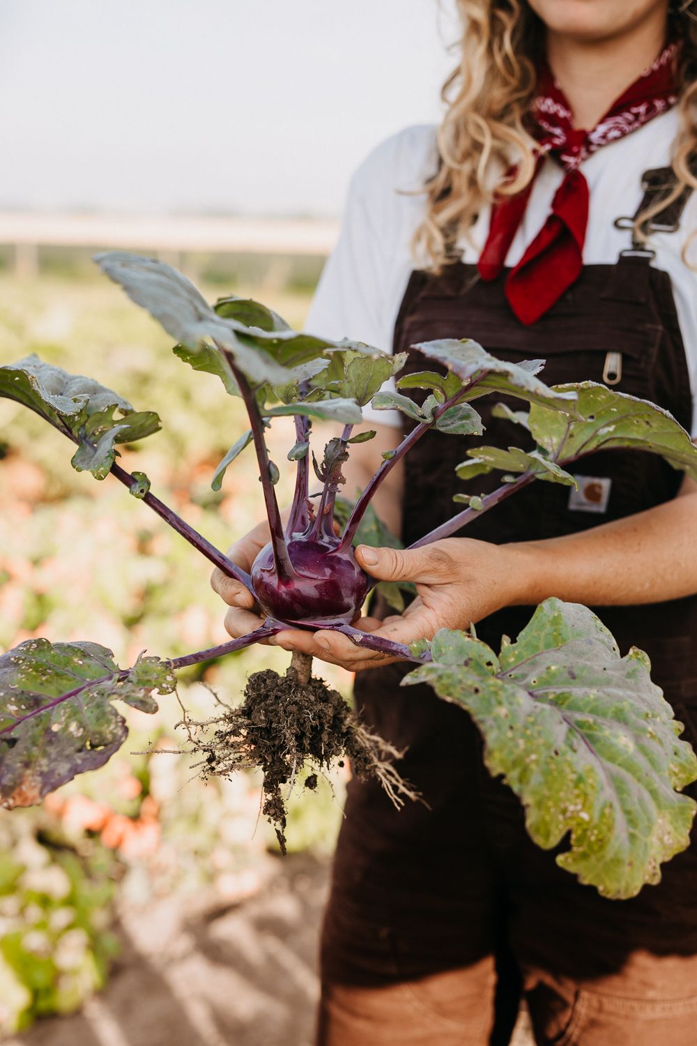 Personal Branding / Boerin Lolita / Storytelling Photography / boerderijtuin / ambachtelijk beroep