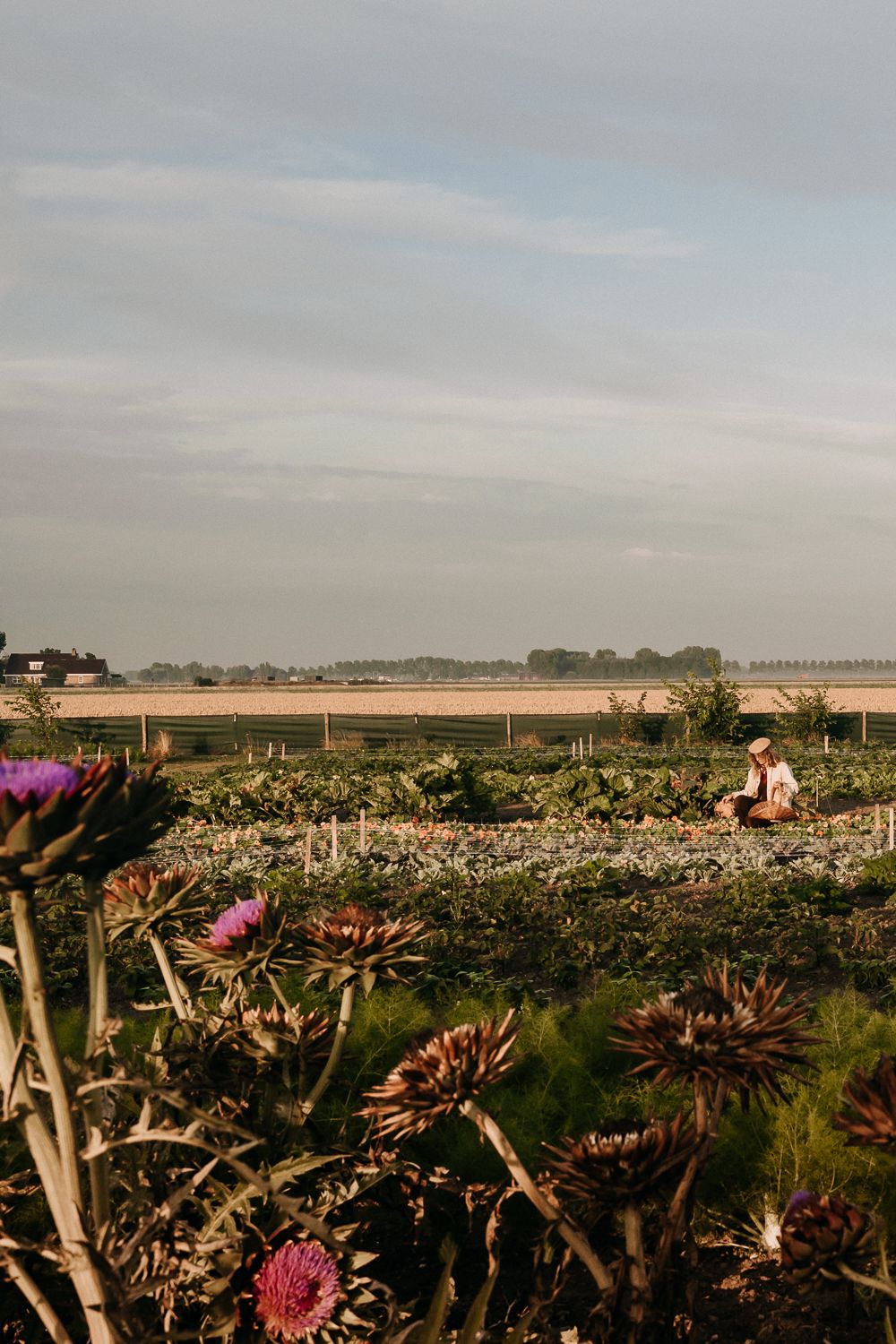 Personal Branding / Boerin Lolita / Storytelling Photography / boerderijtuin / ambachtelijk beroep
