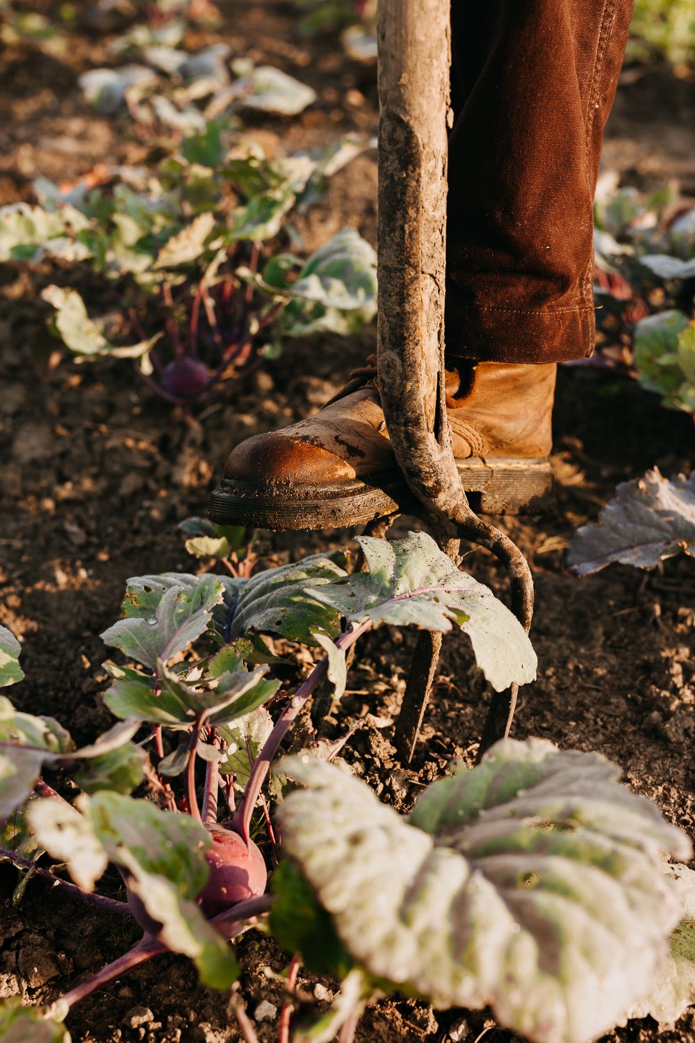 Personal Branding / Boerin Lolita / Storytelling Photography / boerderijtuin / ambachtelijk beroep