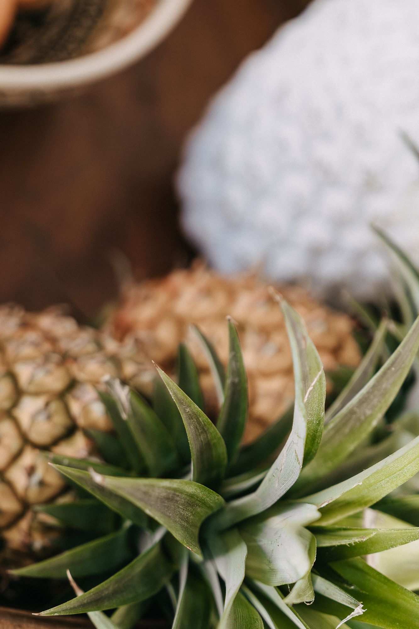 Travel Photo Byron Bay Food Photography