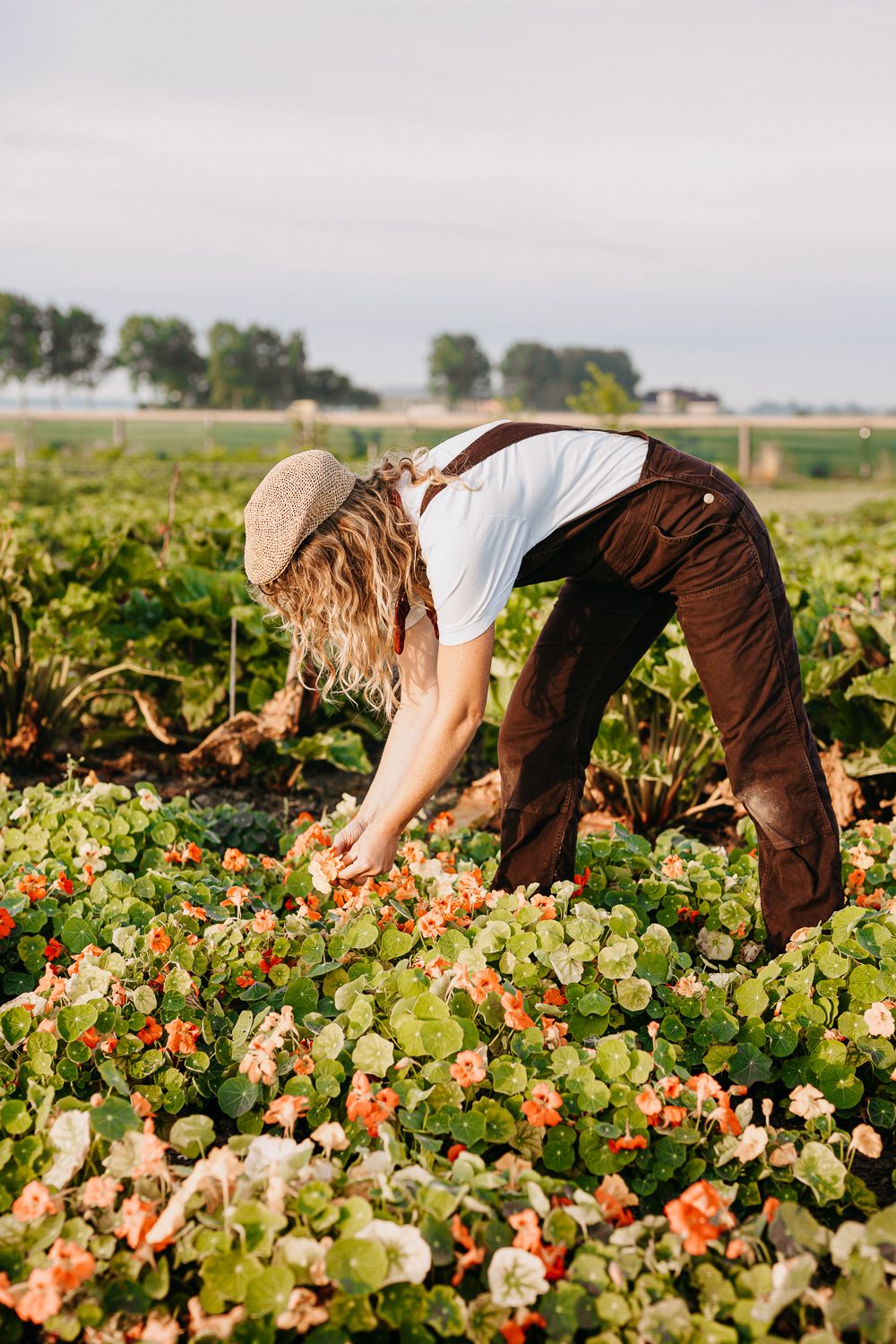 Naast groenten kweekt teler made ook eetbare bloemen, wilde kruiden, noten en klein fruit. Levert aan restaurants. Shoot by Edith Maaskant