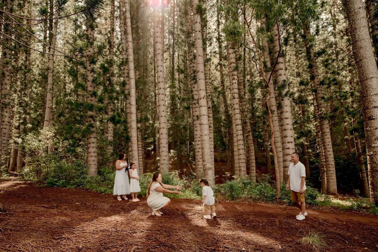 Family in white outfits playing together among tall trees in a sunlit forest on a dirt path.