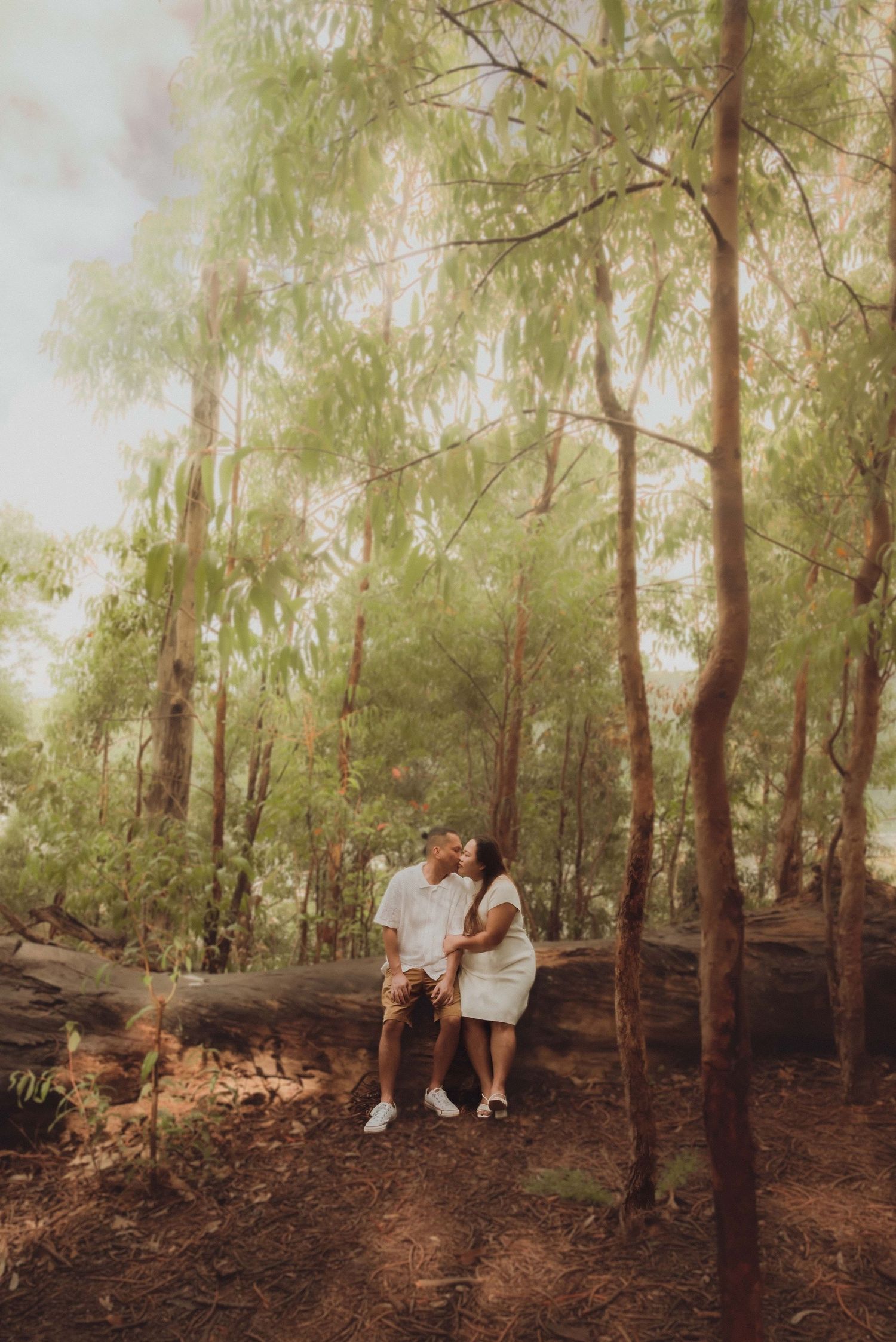 A couple shares romantic moments together in a serene forest setting with sunlight filtering through the trees.