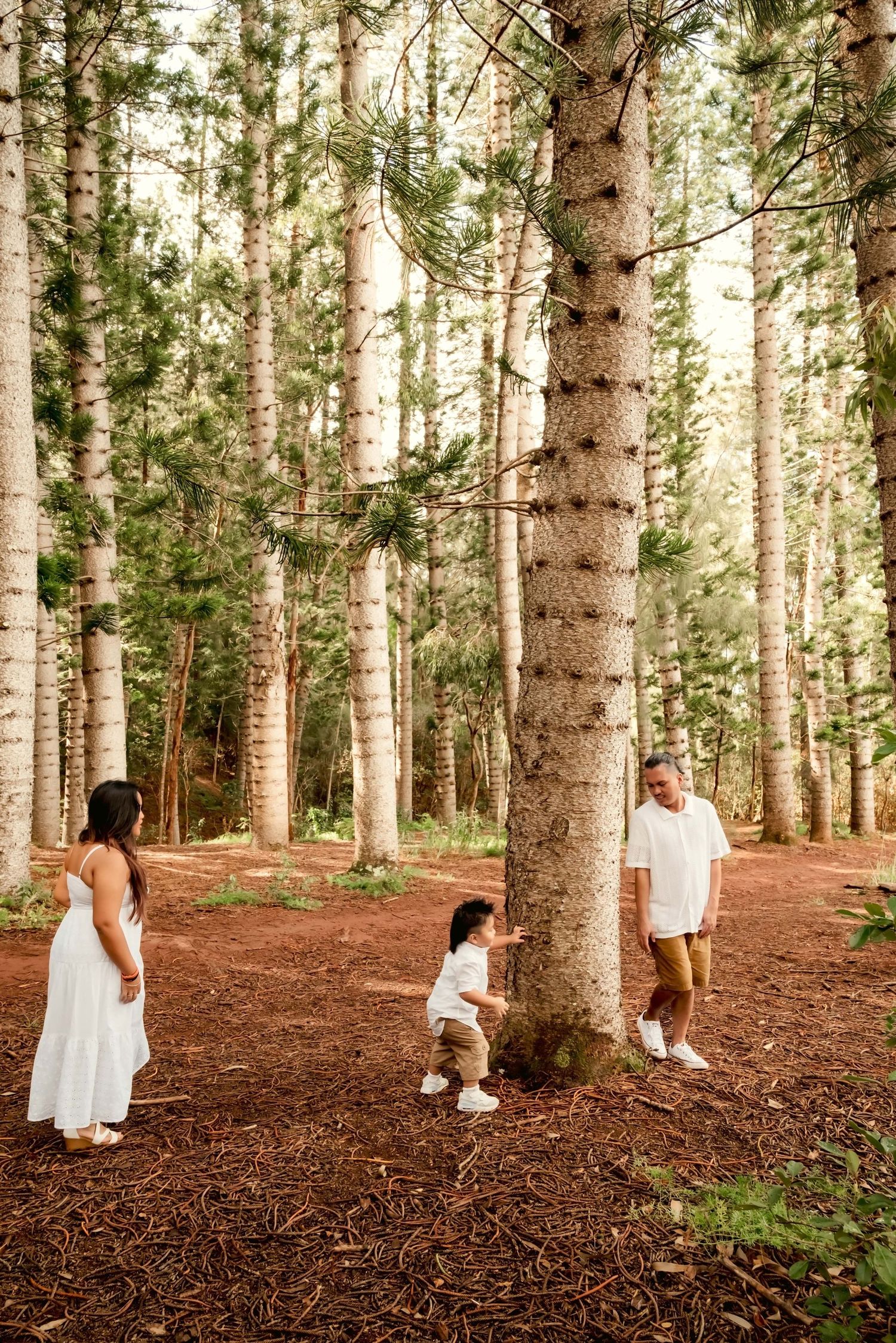 Family of three enjoying a serene forest setting, with child playing by tall pine trees on a red mulch ground.