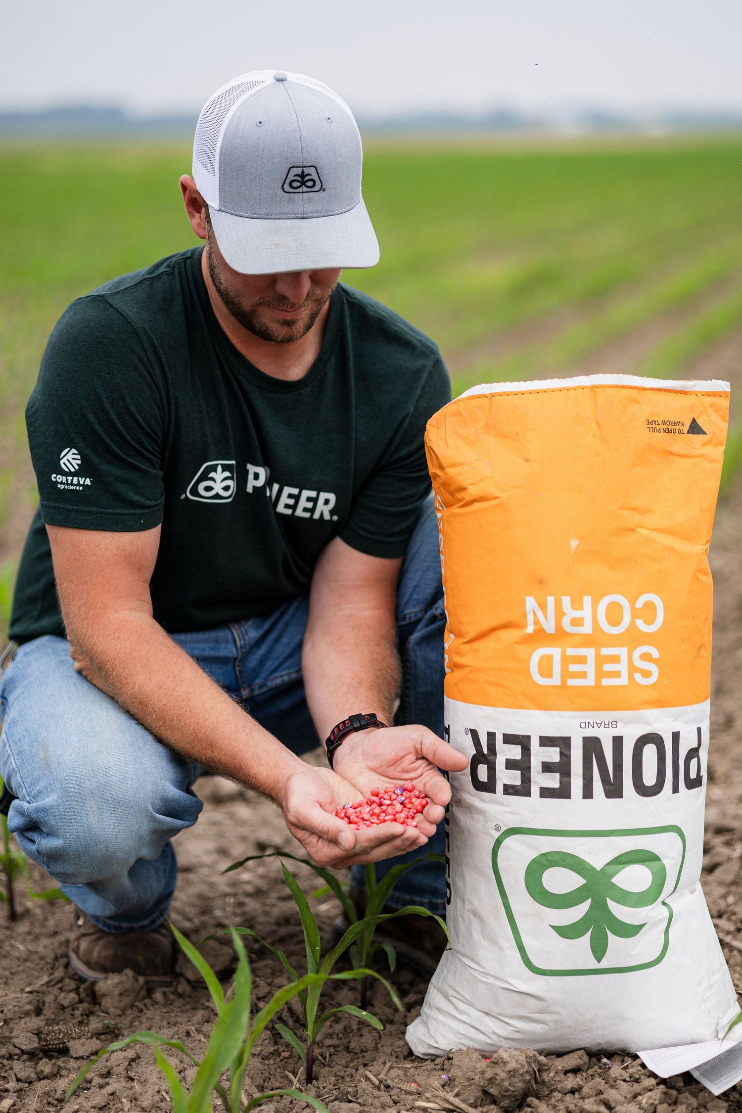 Farmer examining red seed corn next to Pioneer seed bags in agricultural field.
