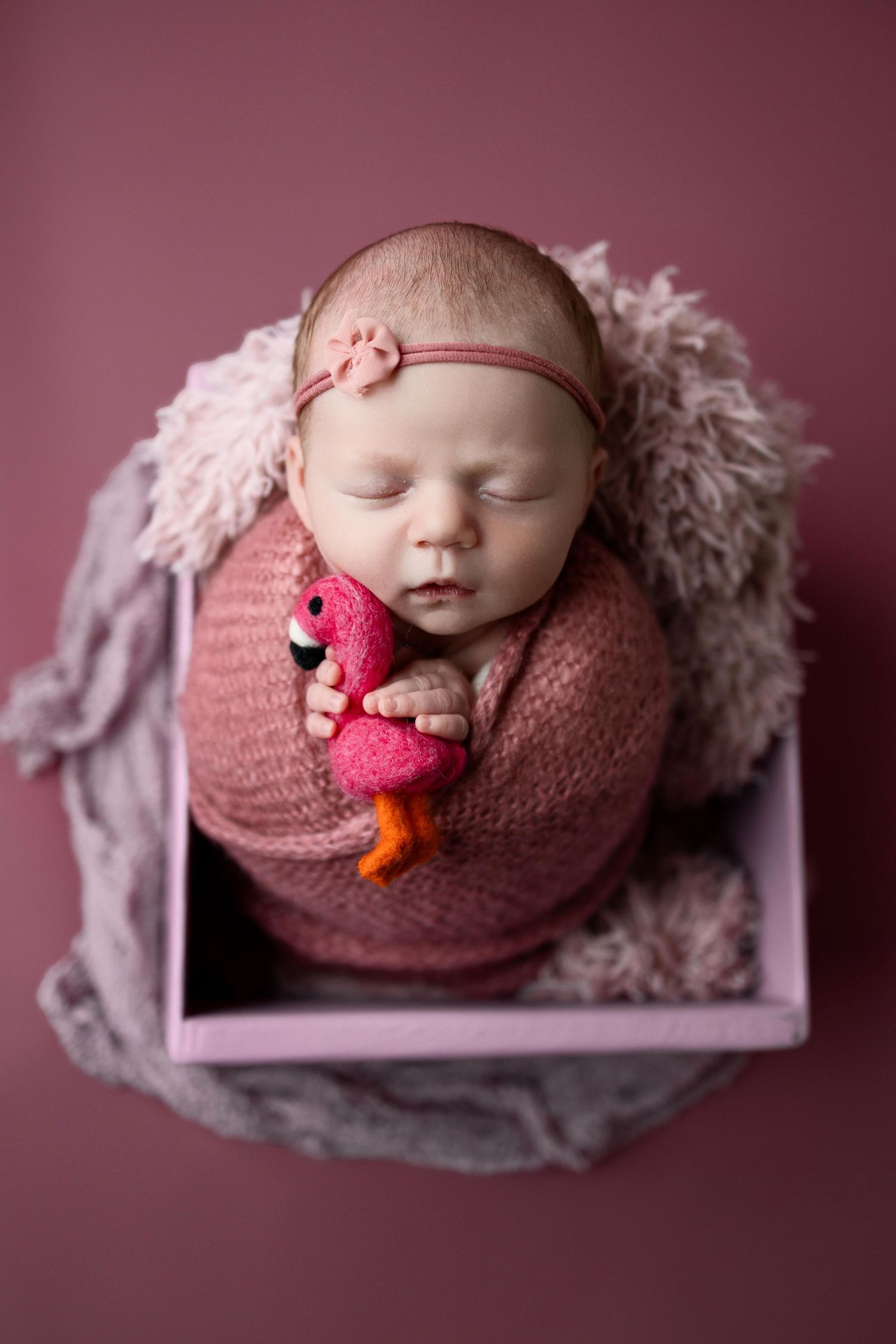 Newborn photography series showing sleeping baby wrapped in pink swaddle with small plush toys on pink backdrop.