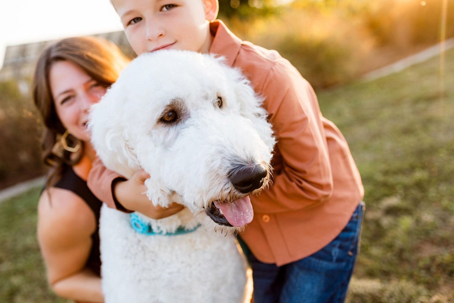 White fluffy dog plays and interacts with someone outdoors during golden hour.