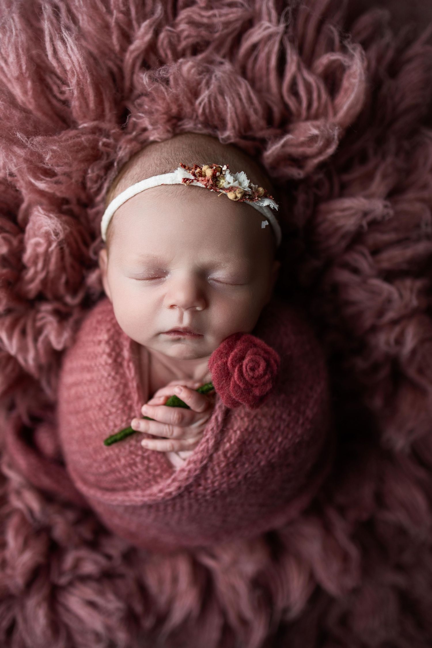 Sleeping newborn wrapped in pink knit blanket on mauve fur backdrop with delicate floral headpiece.