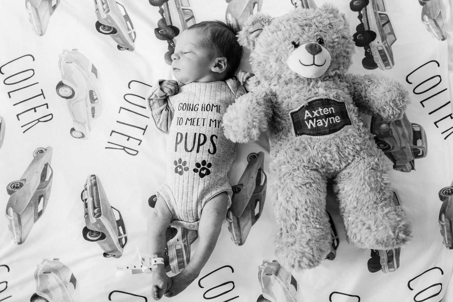 Child plays among white teddy bears displayed against a patterned wall with puppy graphics.