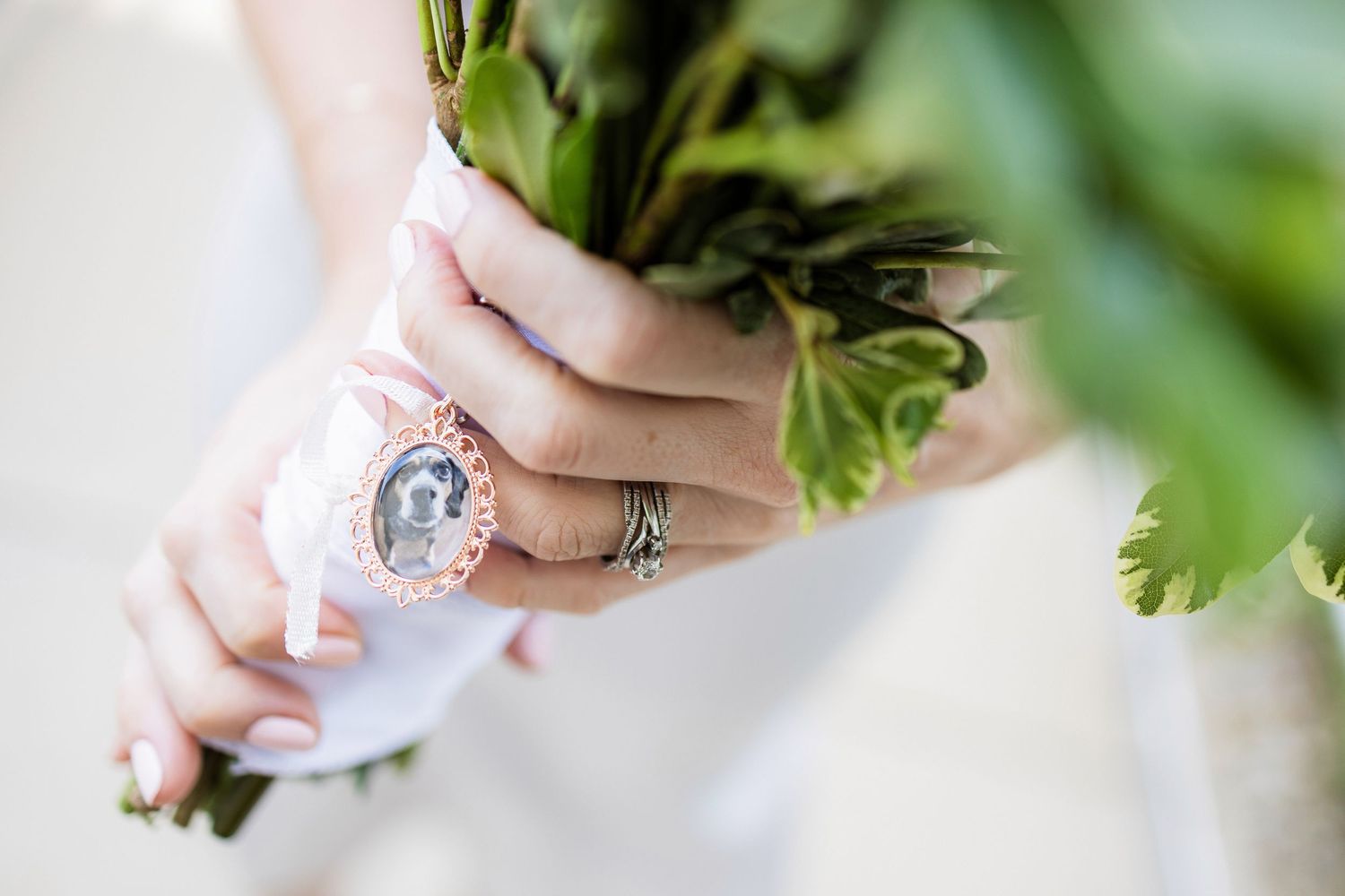 Close-up of hands wearing ornate silver rings holding a fresh green bouquet against a white background.