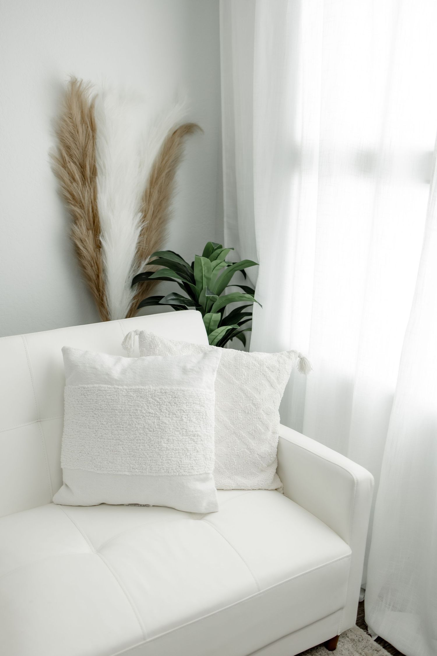 White minimalist couch with decorative pampas grass and green plants against a light wall with sheer curtains.