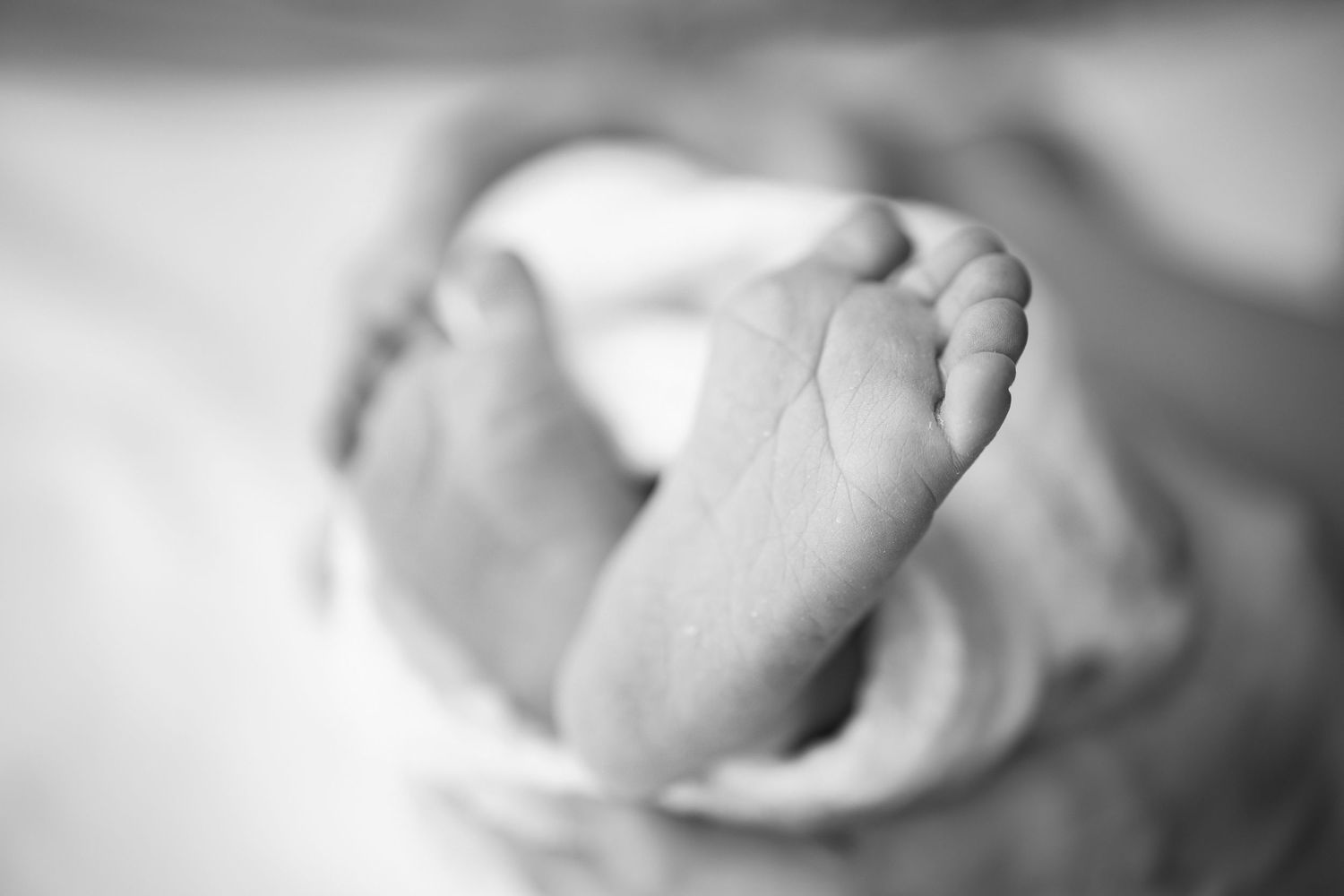 Close-up black and white image of tiny baby feet wrapped in soft fabric.